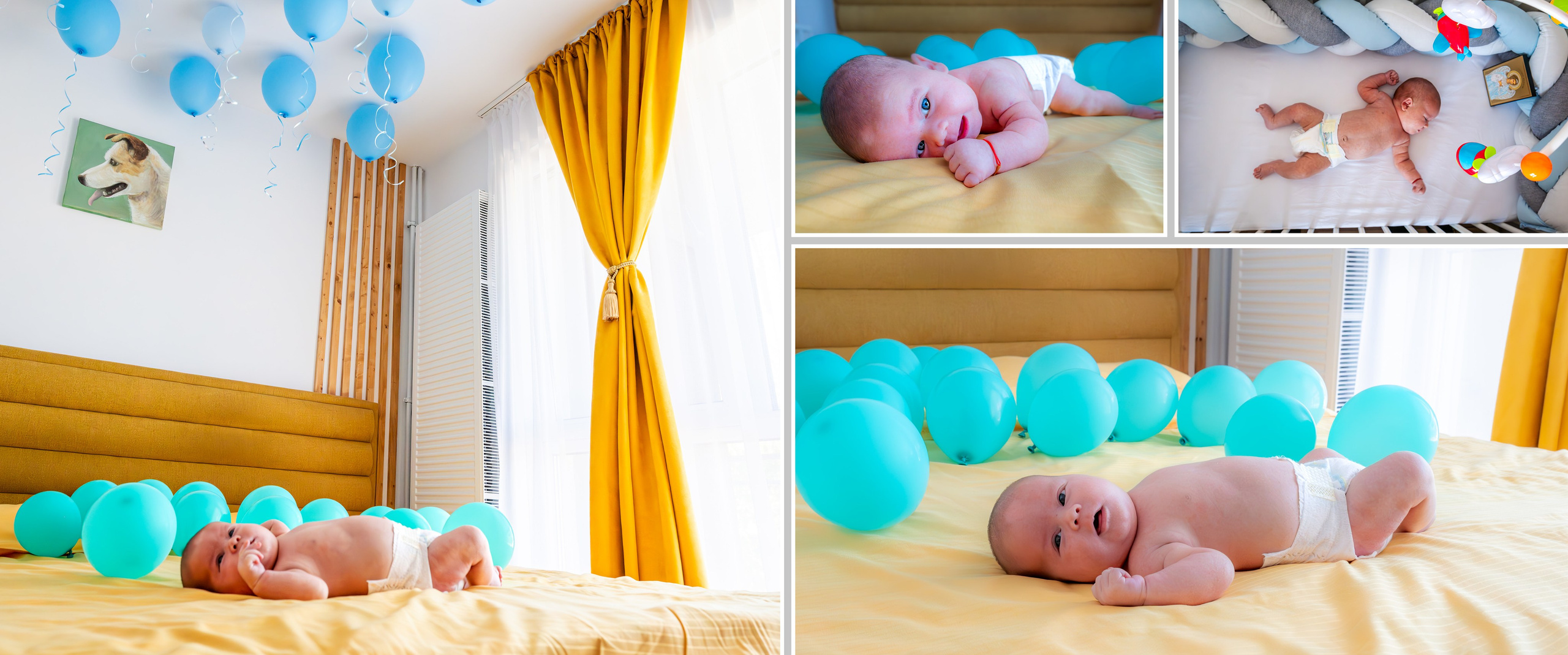 Botez Rares Cristian