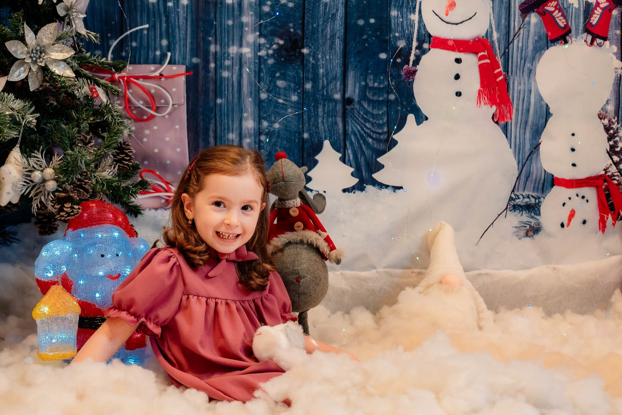 Sedinta Craciun Nicoleta