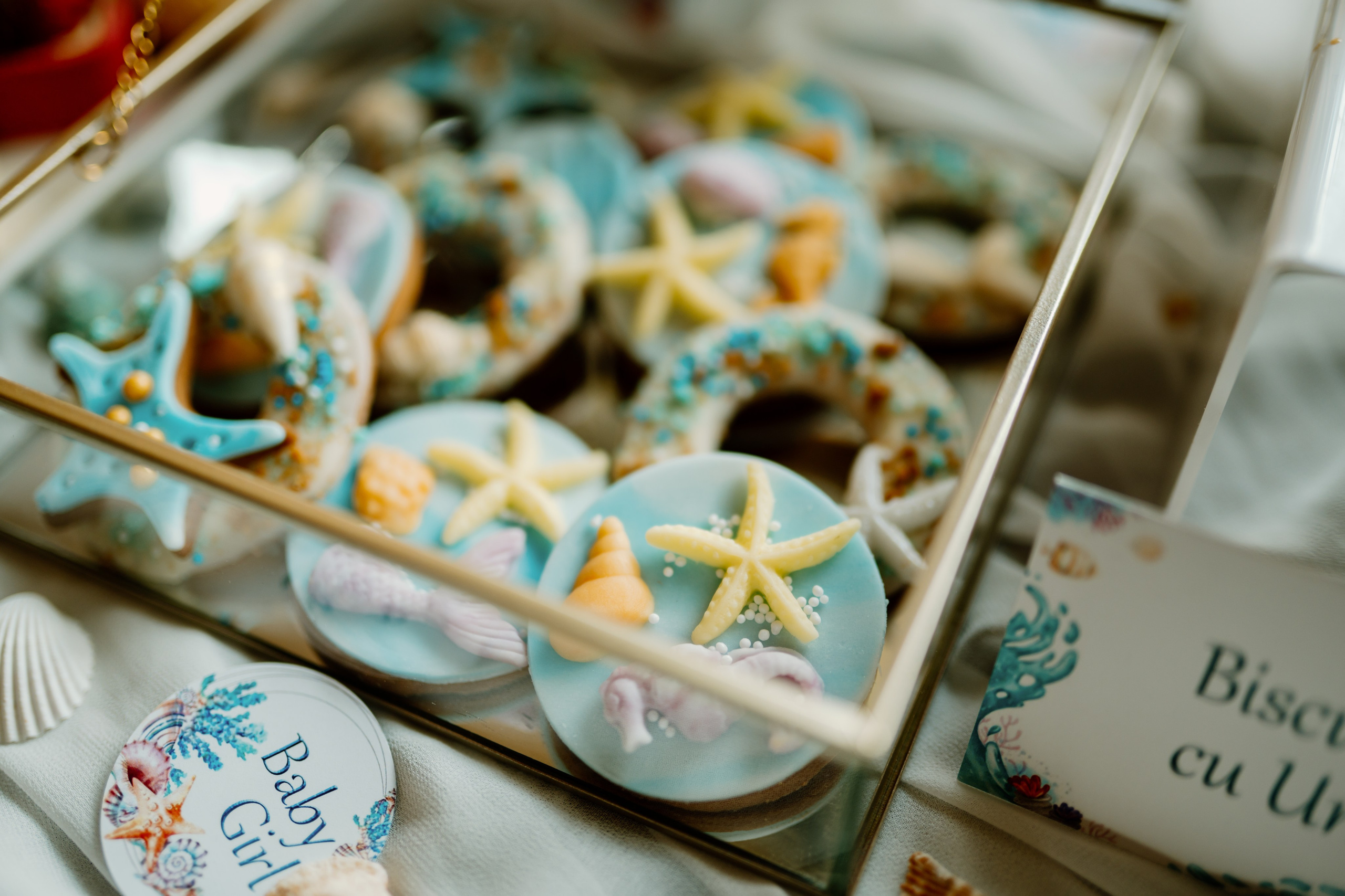 Baby Elia. Gabrielacojocariu.com