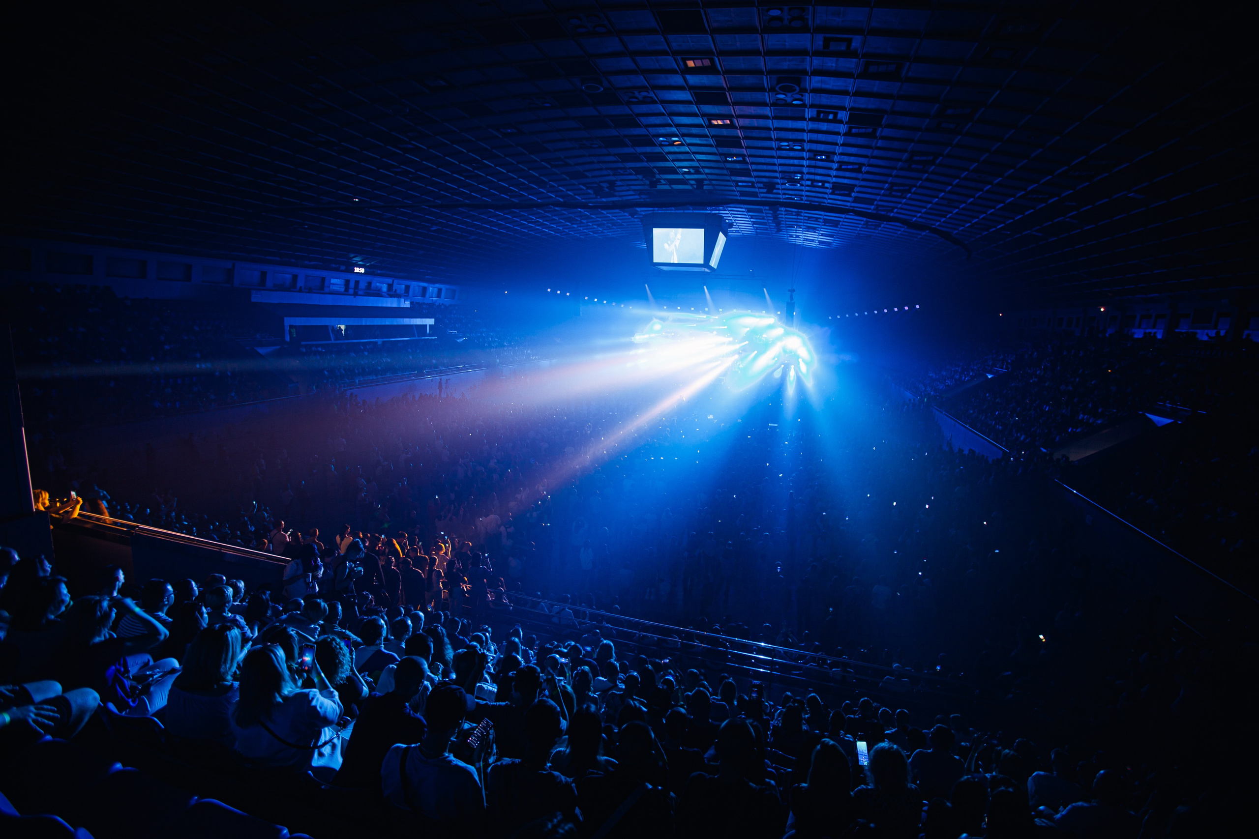 Скай. Репортажний фотограф/анімаліст КИЇВ