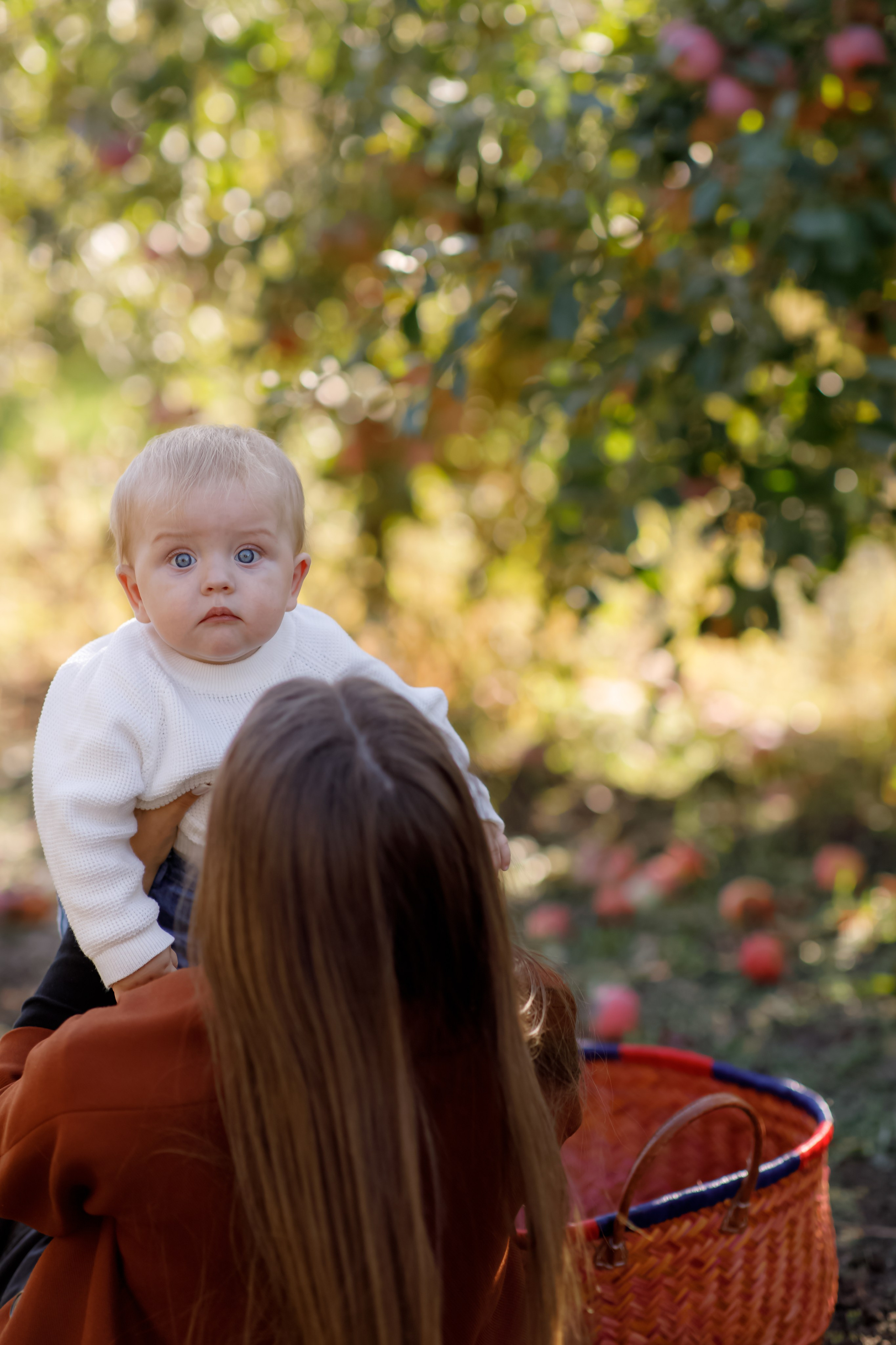 Family photo Mihaela Ungureanu. N.D.photograph - fotograf de familie și portrete în Republica Moldova