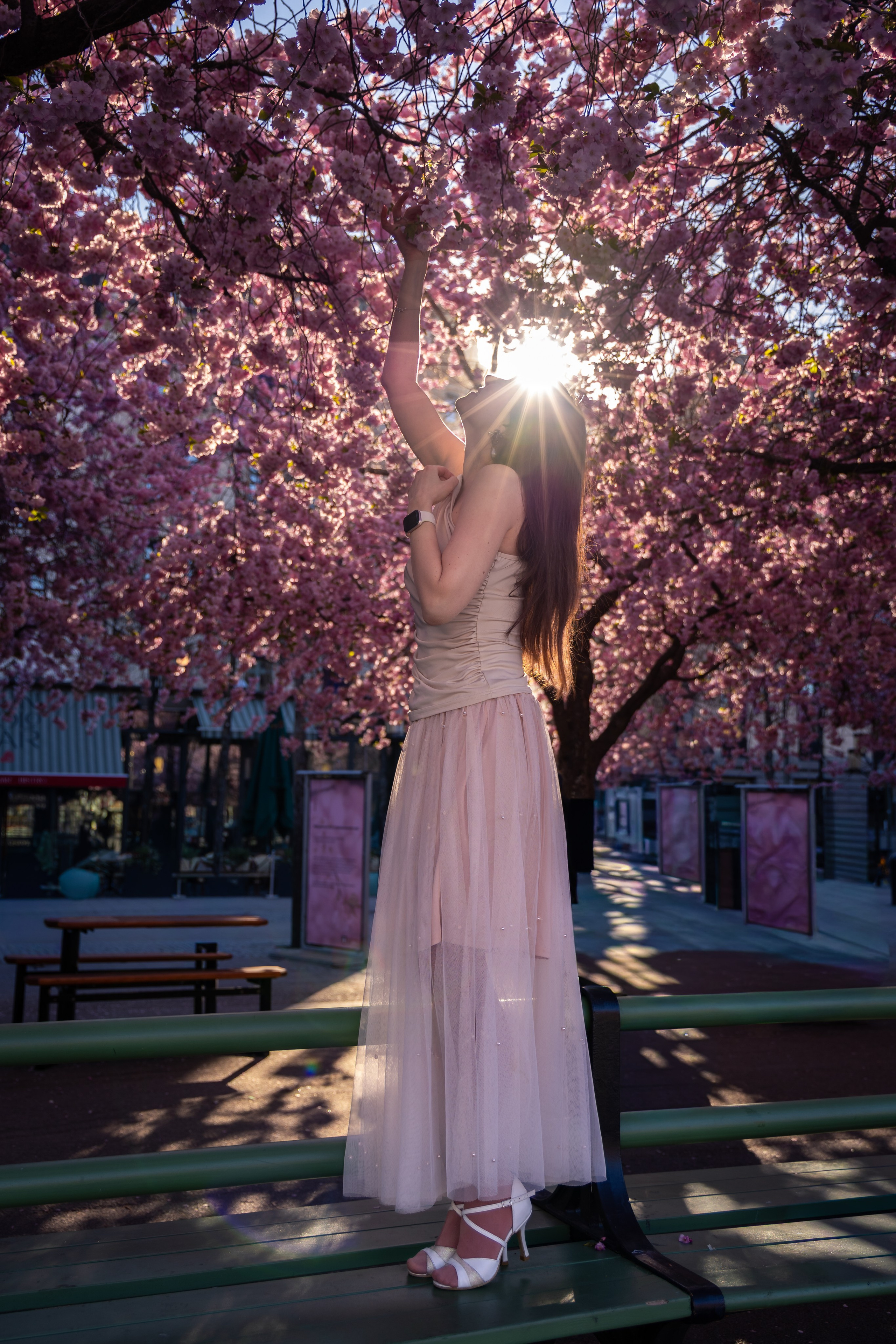 Sakura Mood. Iryna Zhyvora | Photographer | Stockholm