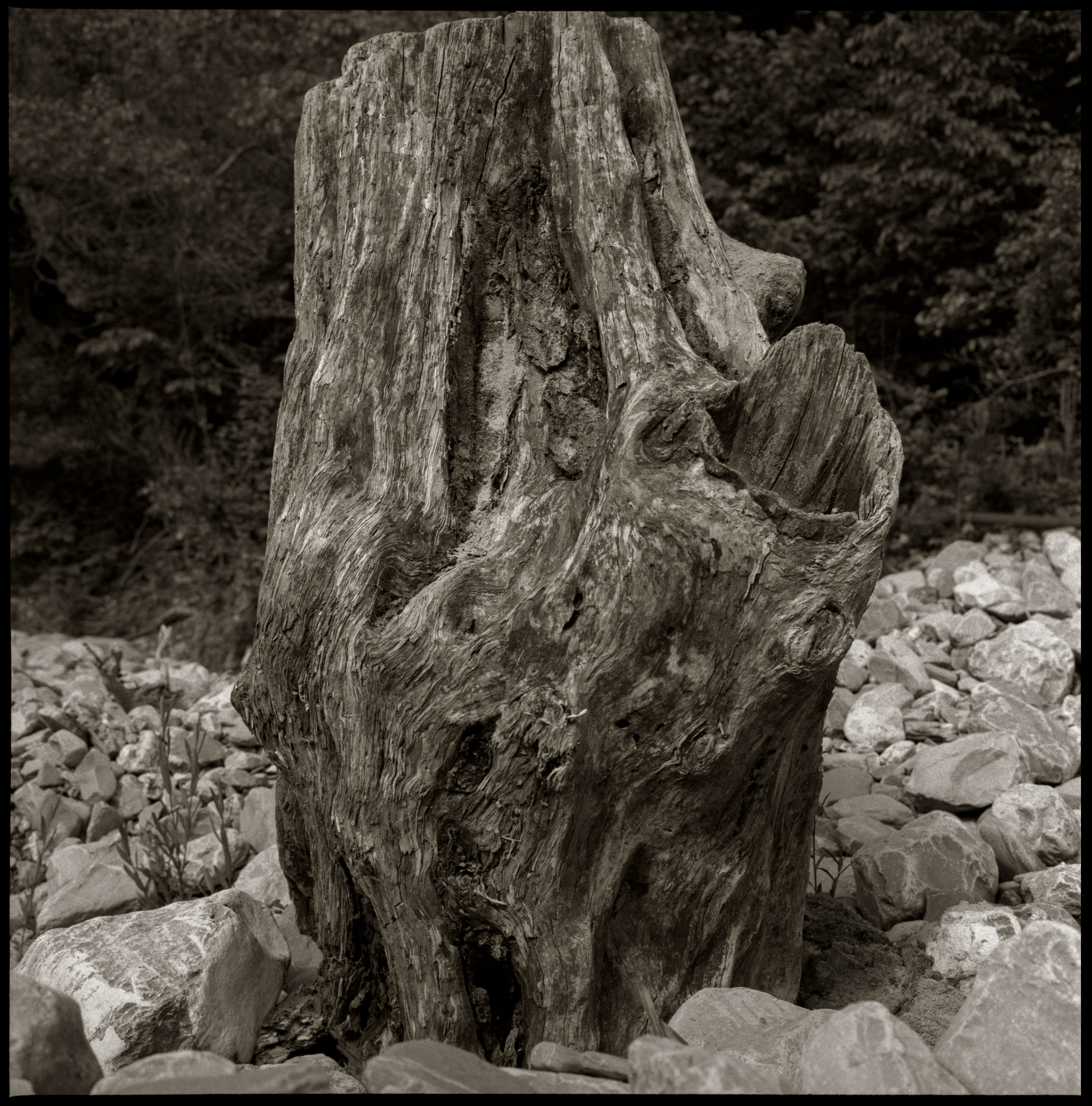 NATURE. Www.sananaleskerov.com