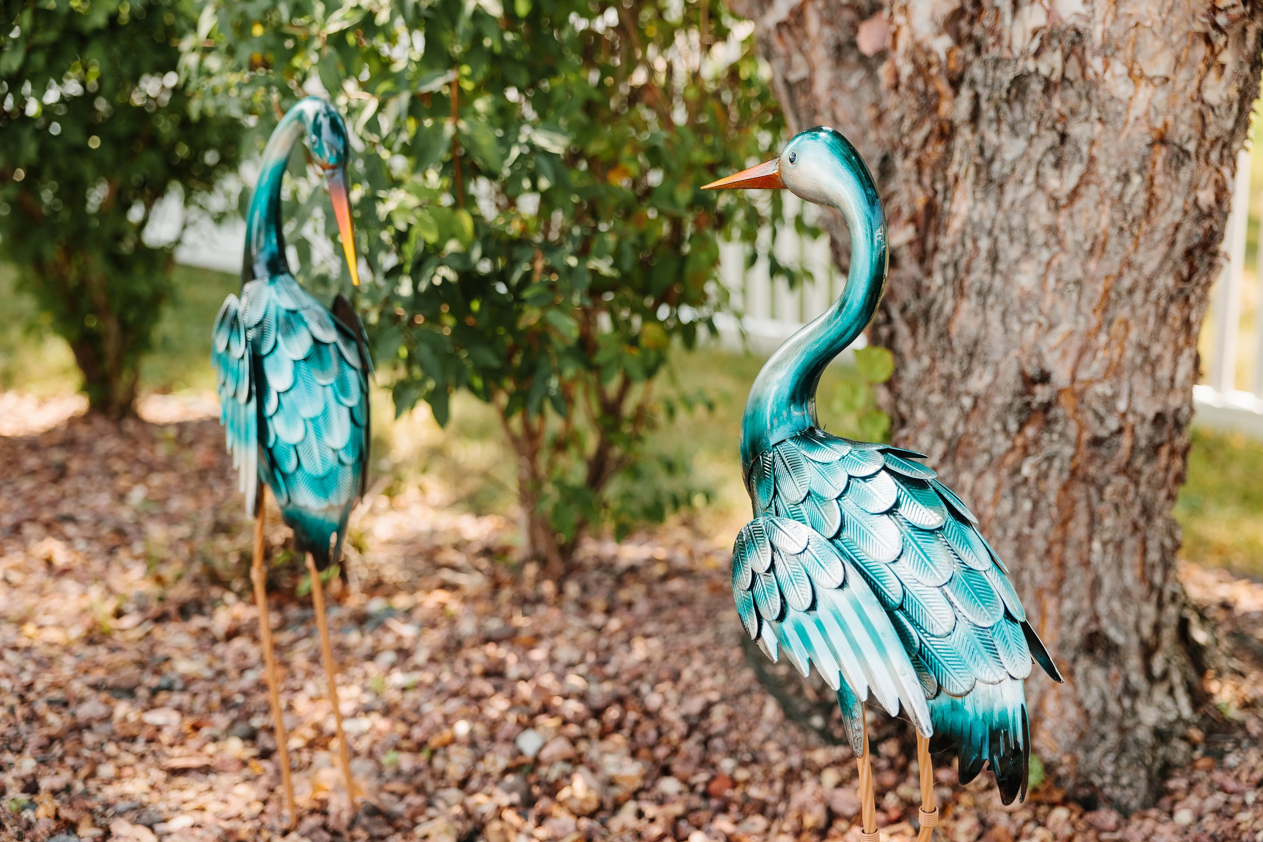 07.27.2024 Birthday Party. Wedding family event photographer in Chicago Nick Yushevich