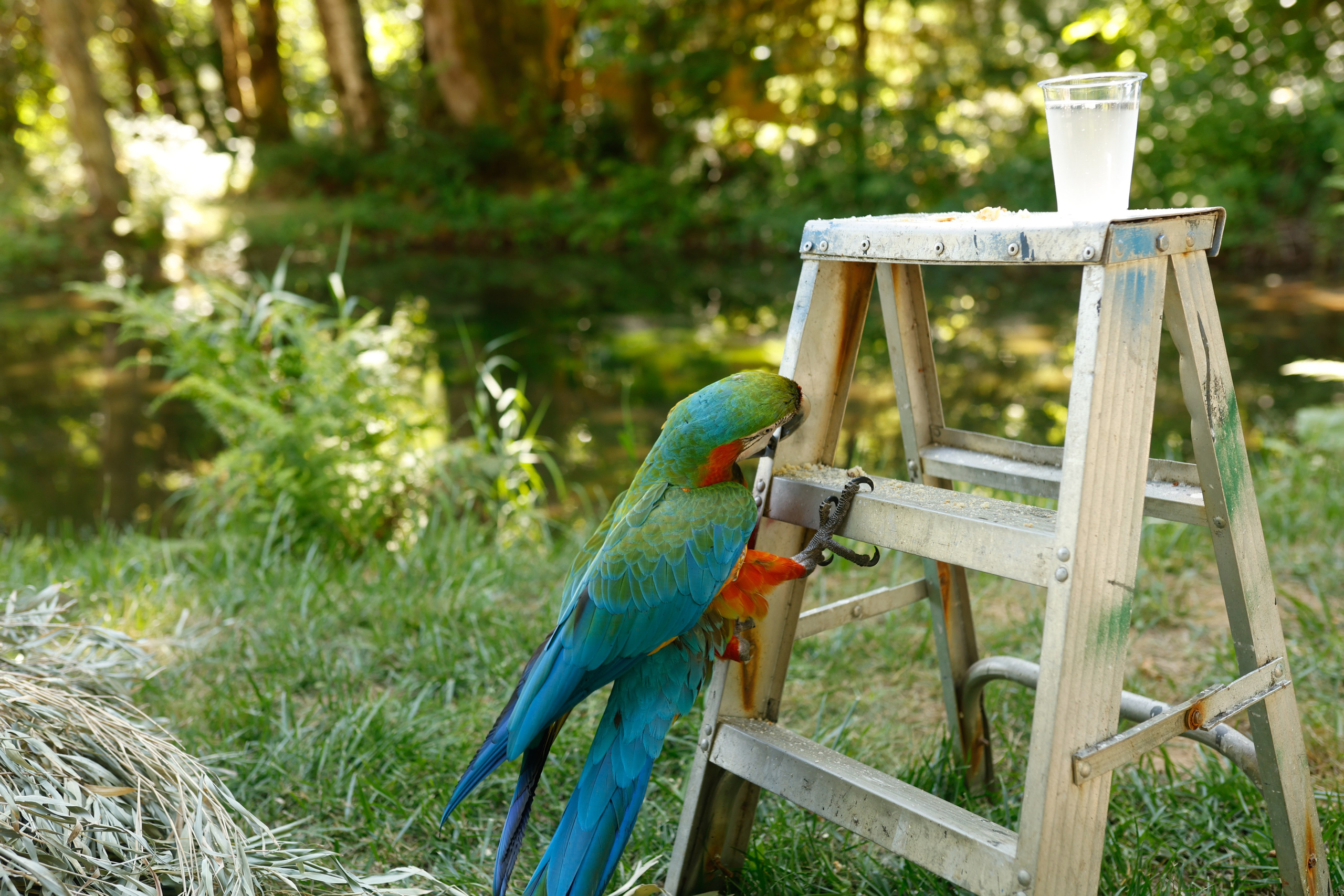Teens Camp 07-19-25. Smirna Christian Church