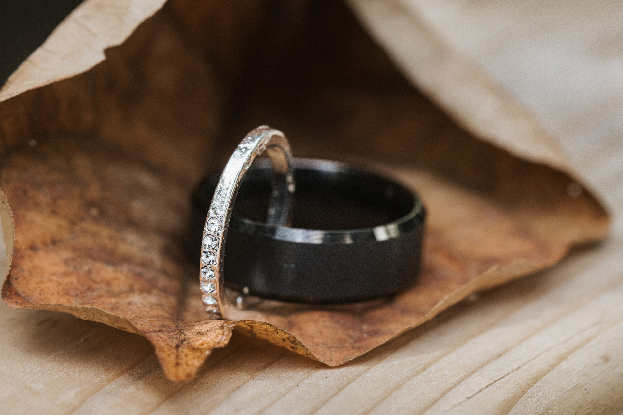 Portfolio. Chaar Bhai — Your Personal Family Historians