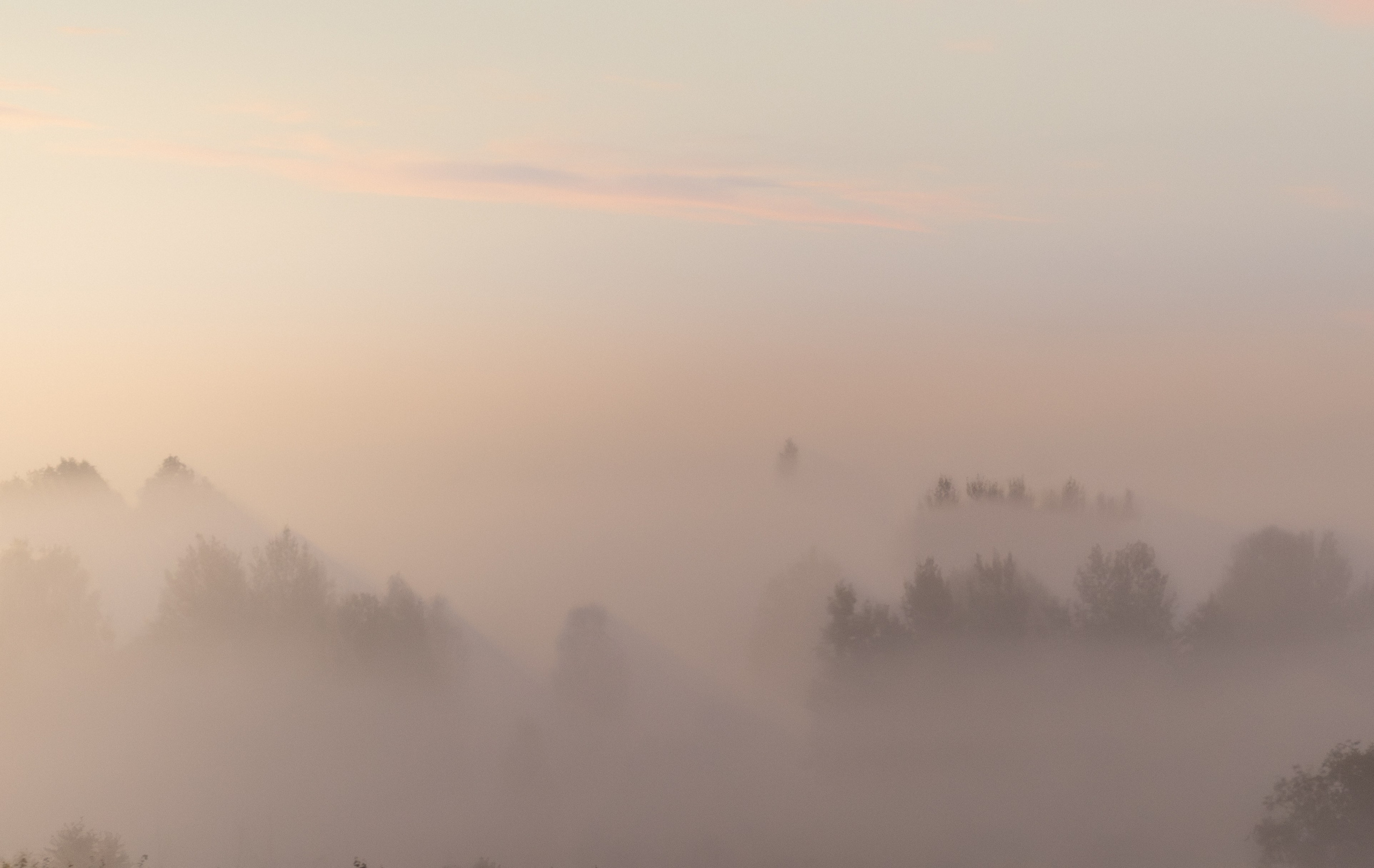 Landscape. Portrait and Street photographer in Vilnius Edgar Shaipunas