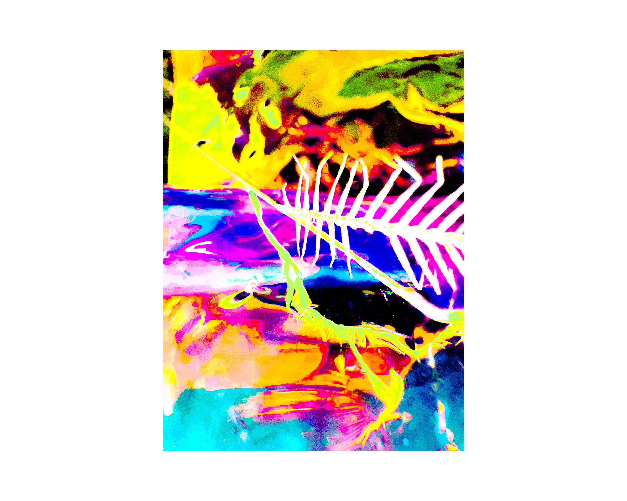 Nature from Exaggerated Worlds. Ekaterina Tsurkina-Appina Photography Canada