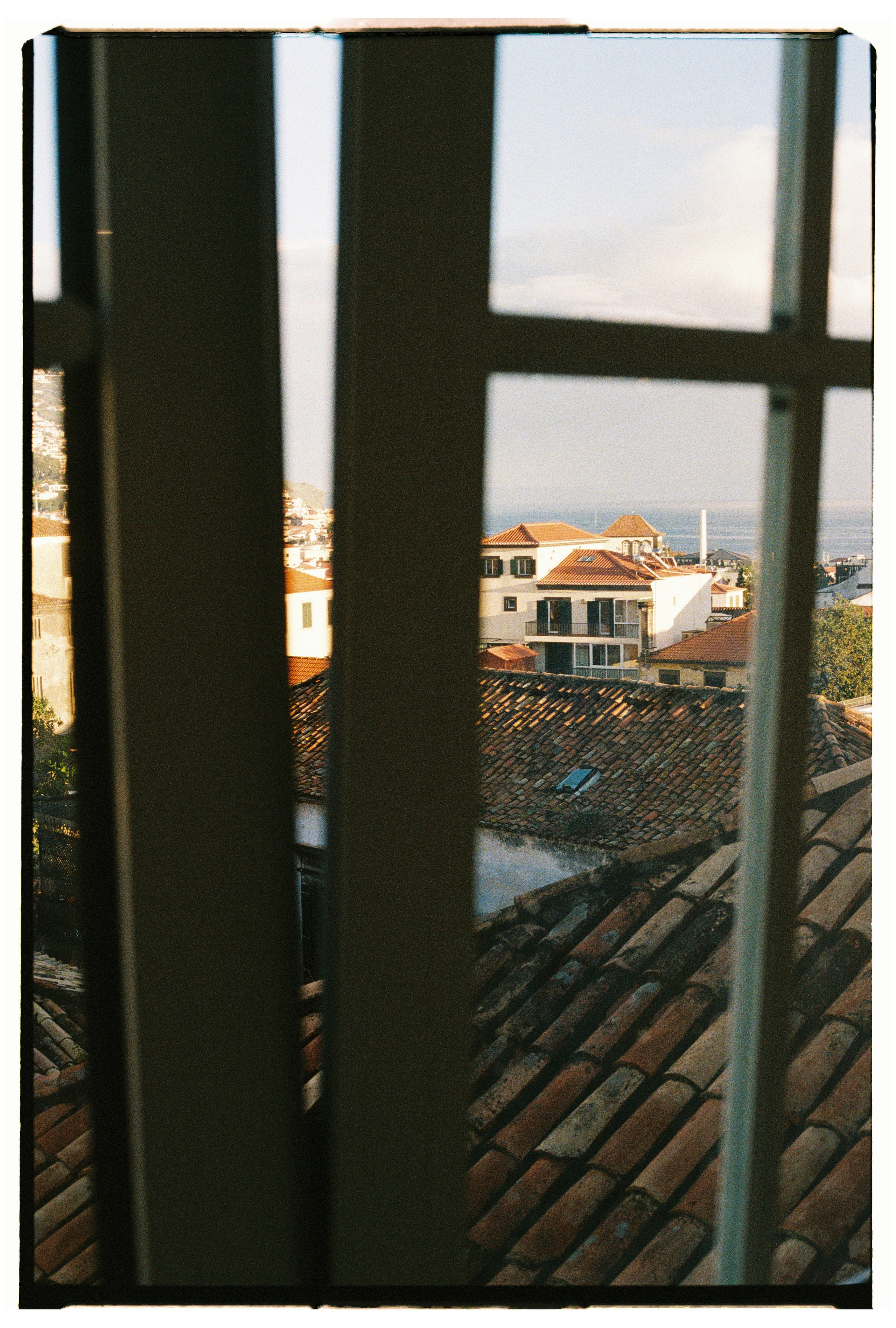 Nastya / ILFORD HP5. Portrait photographer in Madeira — Marina Shtukina