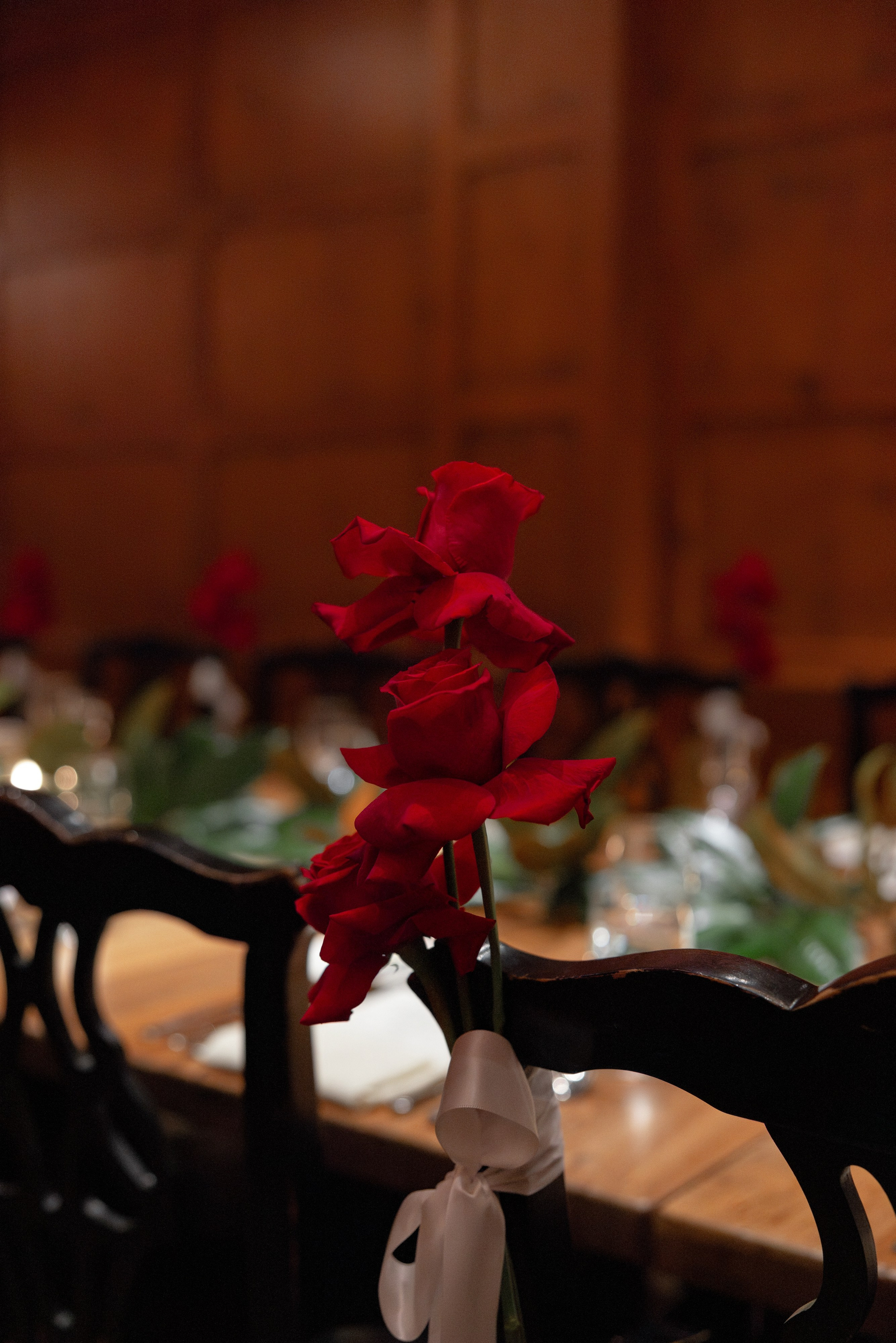 Jada and Dalton. North Carolina. Photographer Anastasia Nagibina