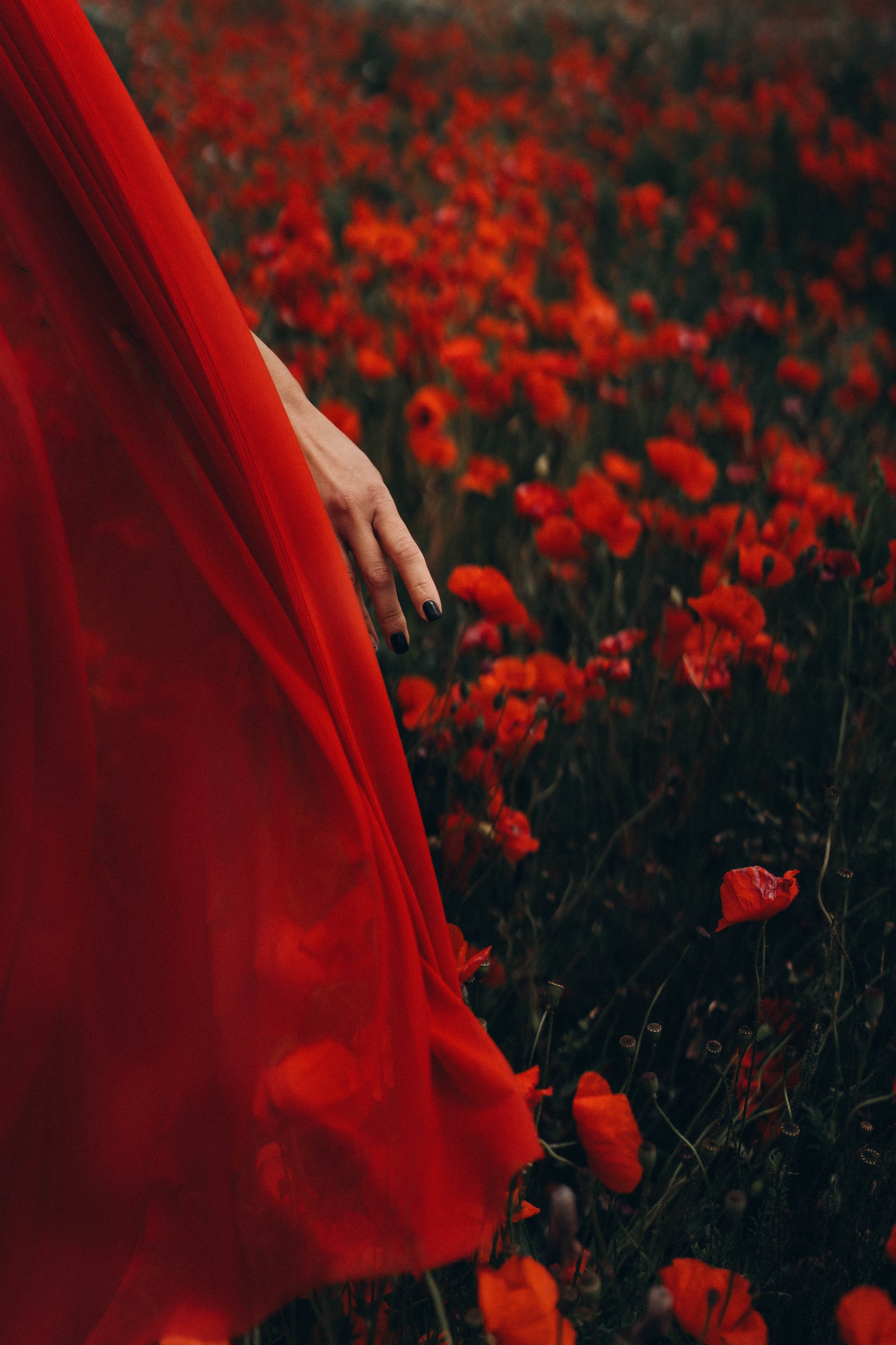 Mák. Fotograf Teplice // Alexandra Ribola