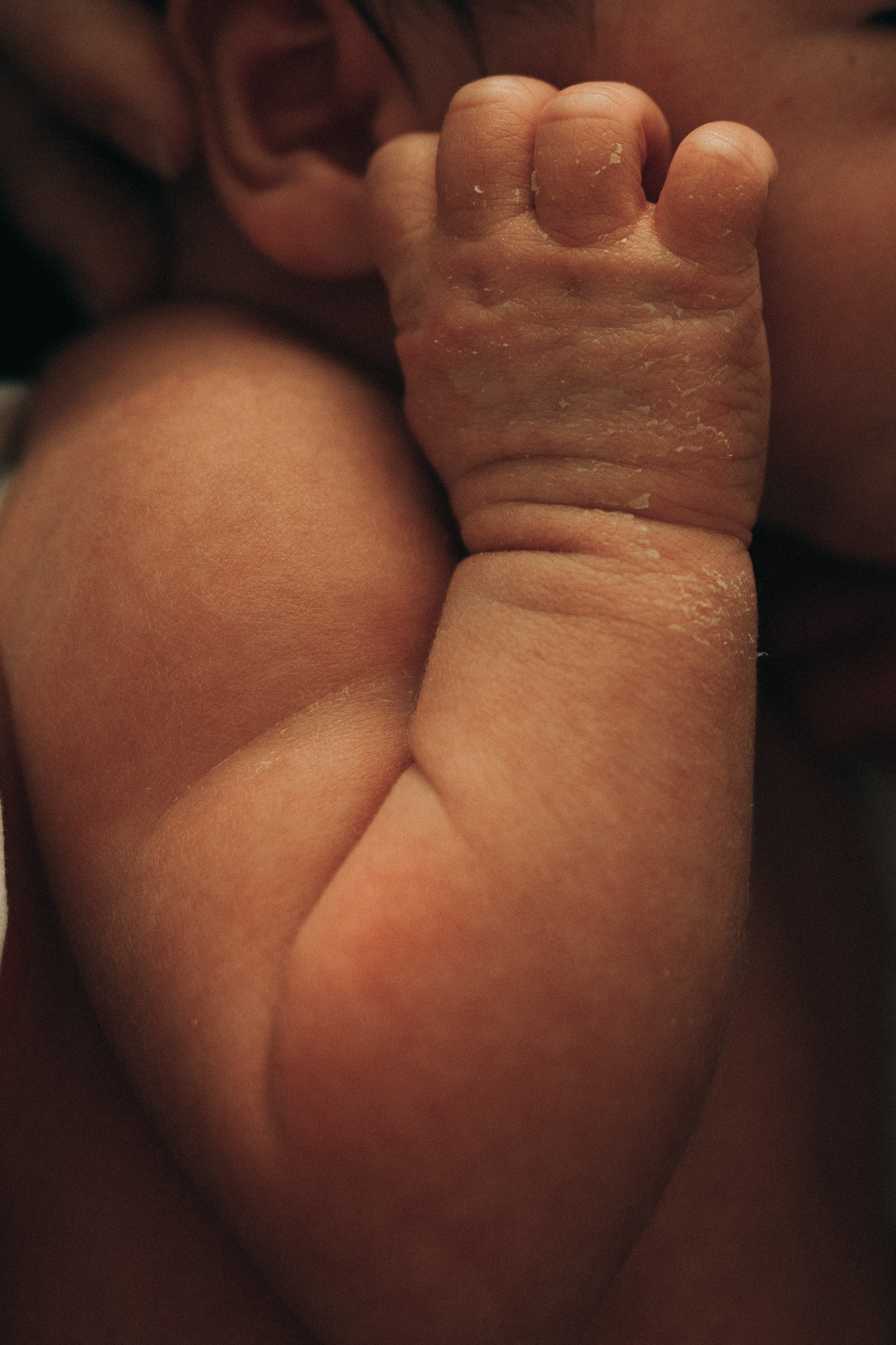 Newborn Home. Katerina Sellitti - Newborn Fotografin aus Bern. Schweiz
