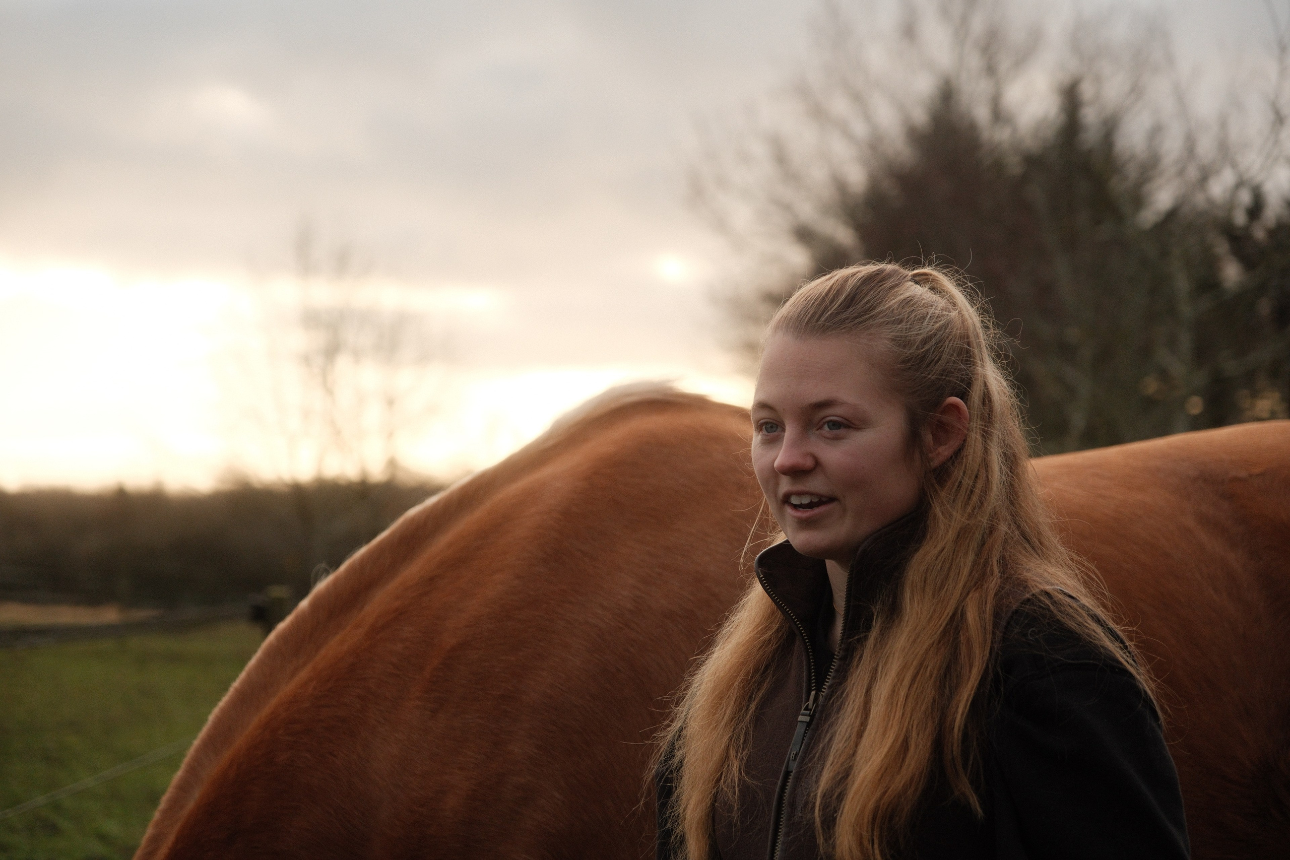 Portrait photography with Fudge the horse. Cal Takes Photos