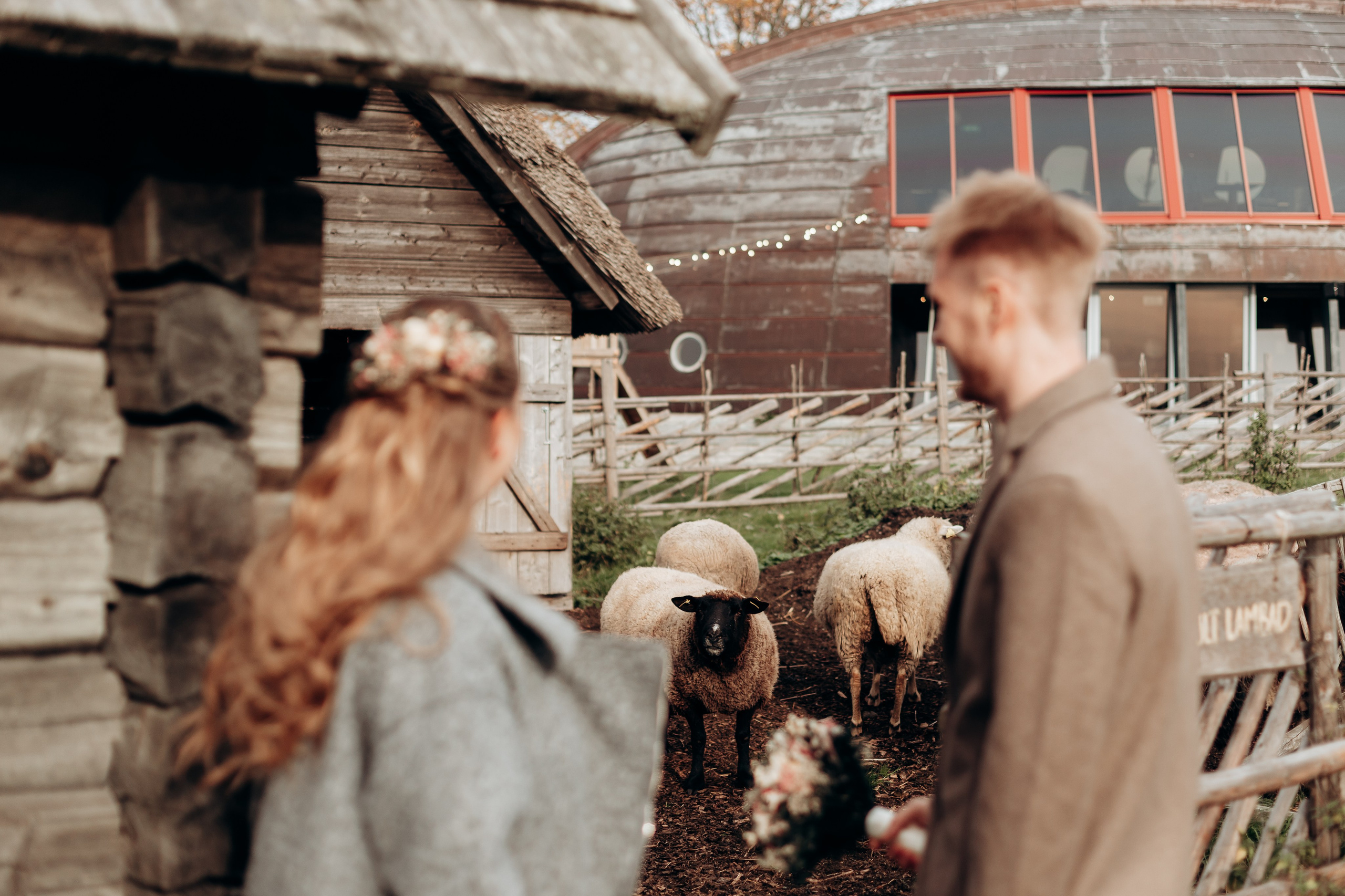 Виталий и Юлиана. Главная