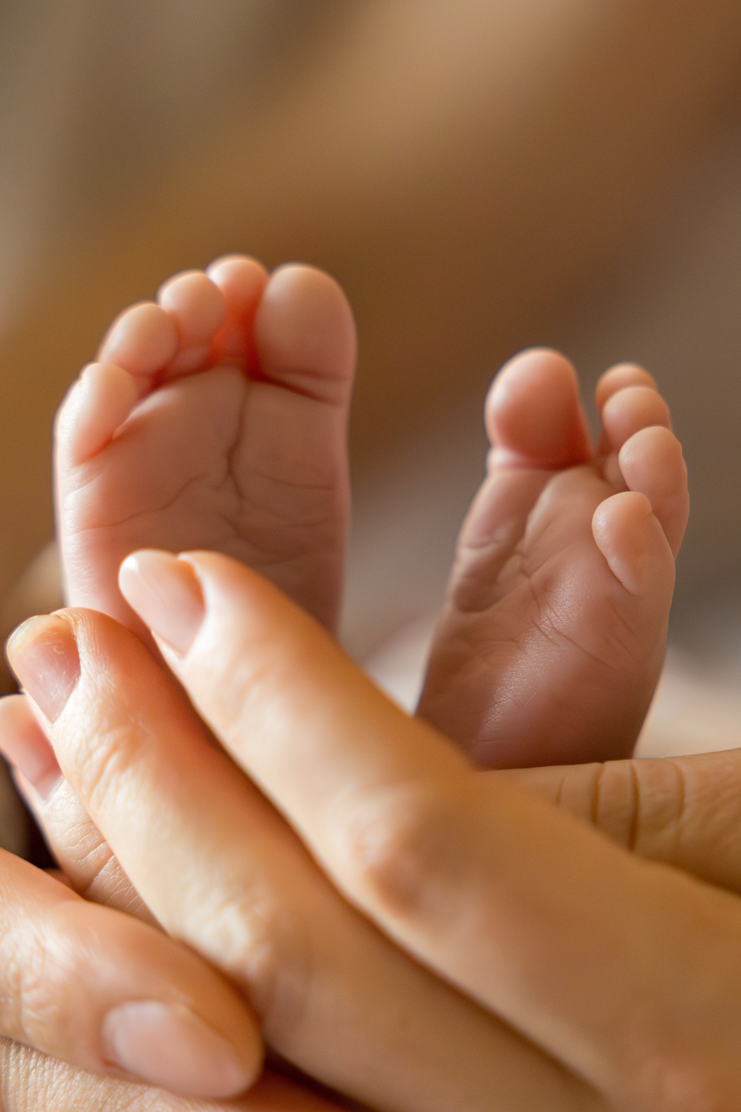 Princess Amelie 💛💙. Family, lifestyle, and commercial photography in New York and New Jersey