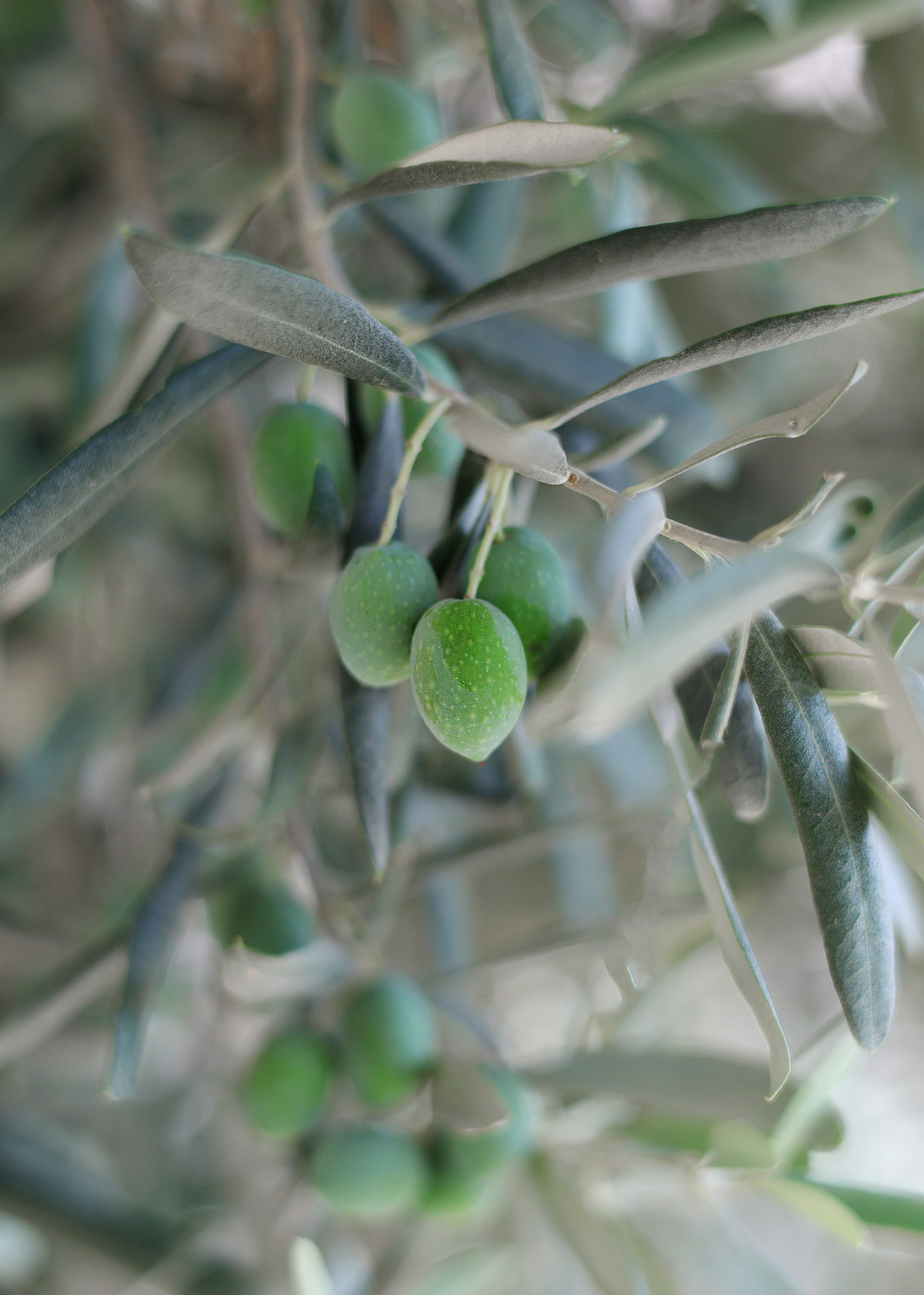 Visual stories. Professional Photo & Video Services in Bodrum & Marmaris | Tekin Creative