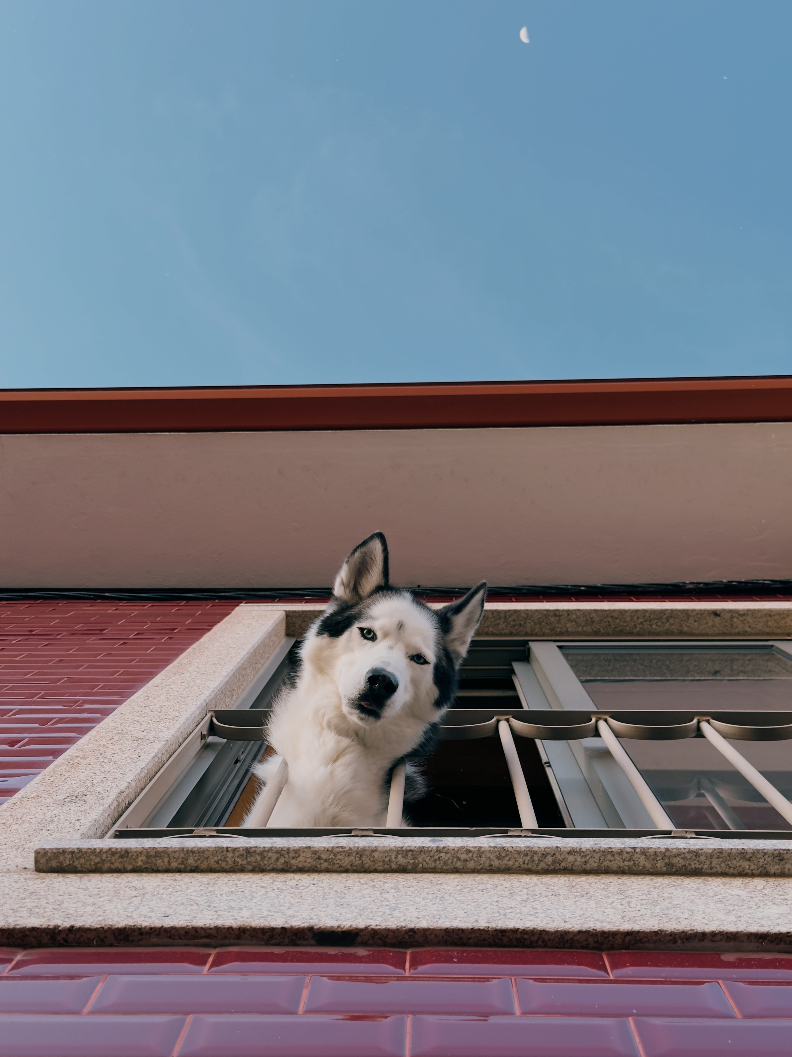 Mobilography. Artem Avanesov. Visual Content Creator