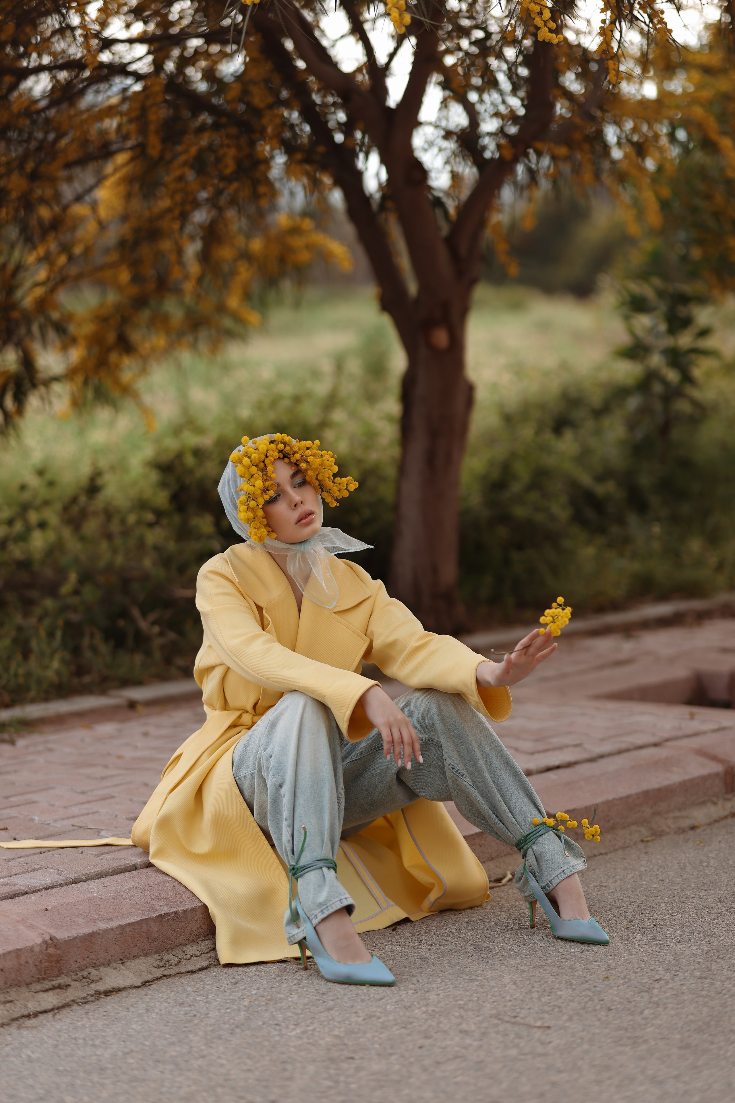 Цветение мимозы в Турции. Фотосессия в мимозе. Фотосессия с мимозой. Фотограф в Турции. Что сейчас цветет в Турции. Что сейчас цветет в Аланьи. Что цветет в апреле в анталии. Фотограф Алания турция. Мимоза в Турции. Цветение в Турции. Турецкая мимоза . Мимоза турция. 