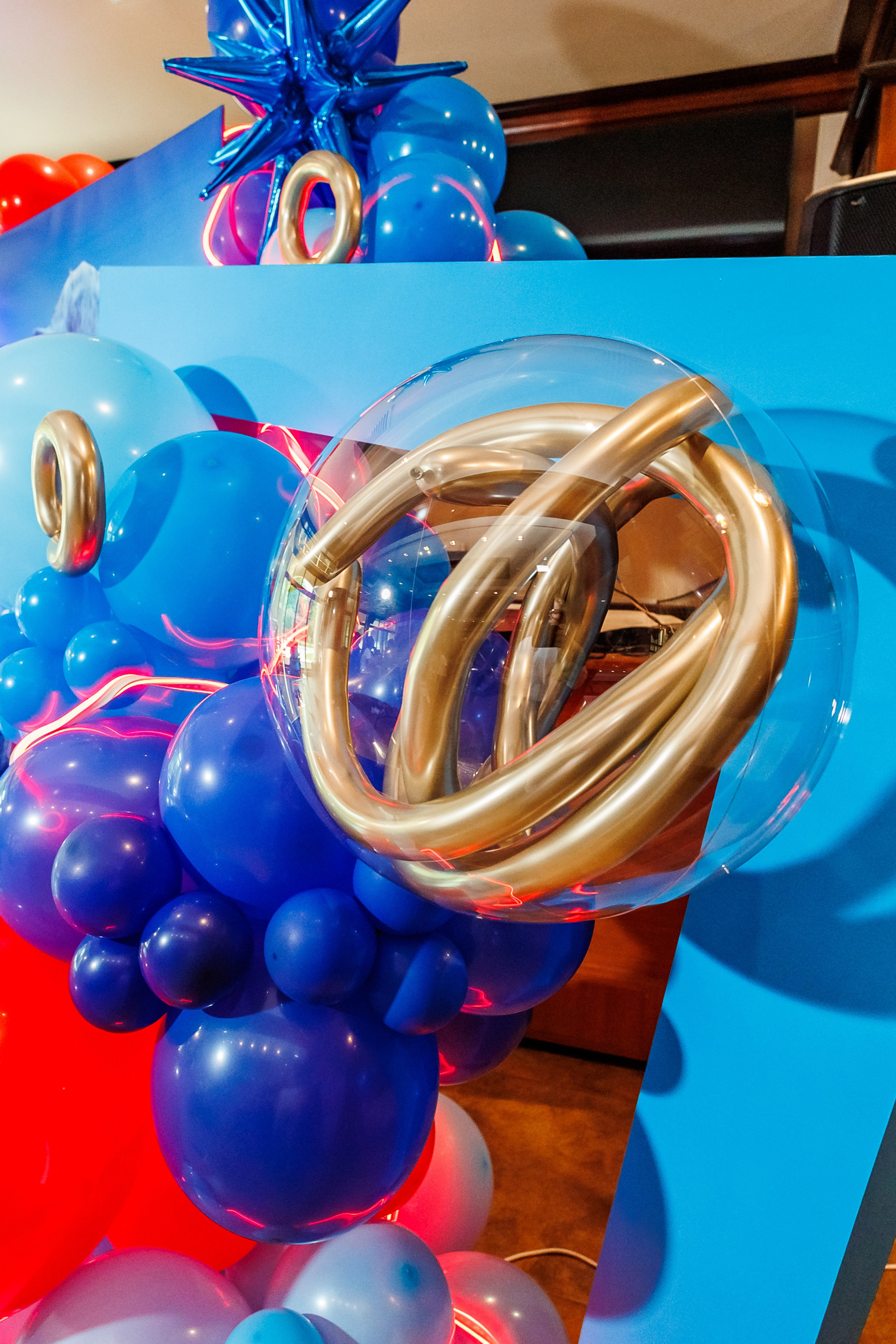 Честит Рожден Ден. Фотограф Ирина Йотова