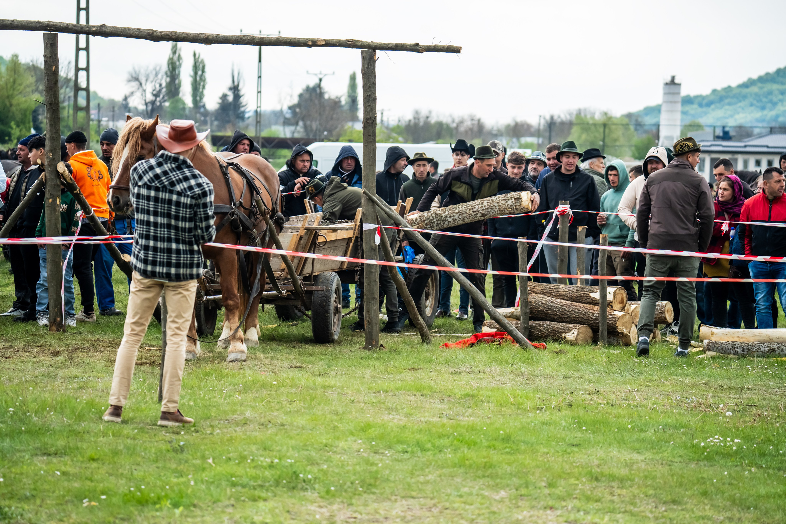 Concurs Ecvestru Vărbilău ediția a 4-a. Mihai Alexandra Events