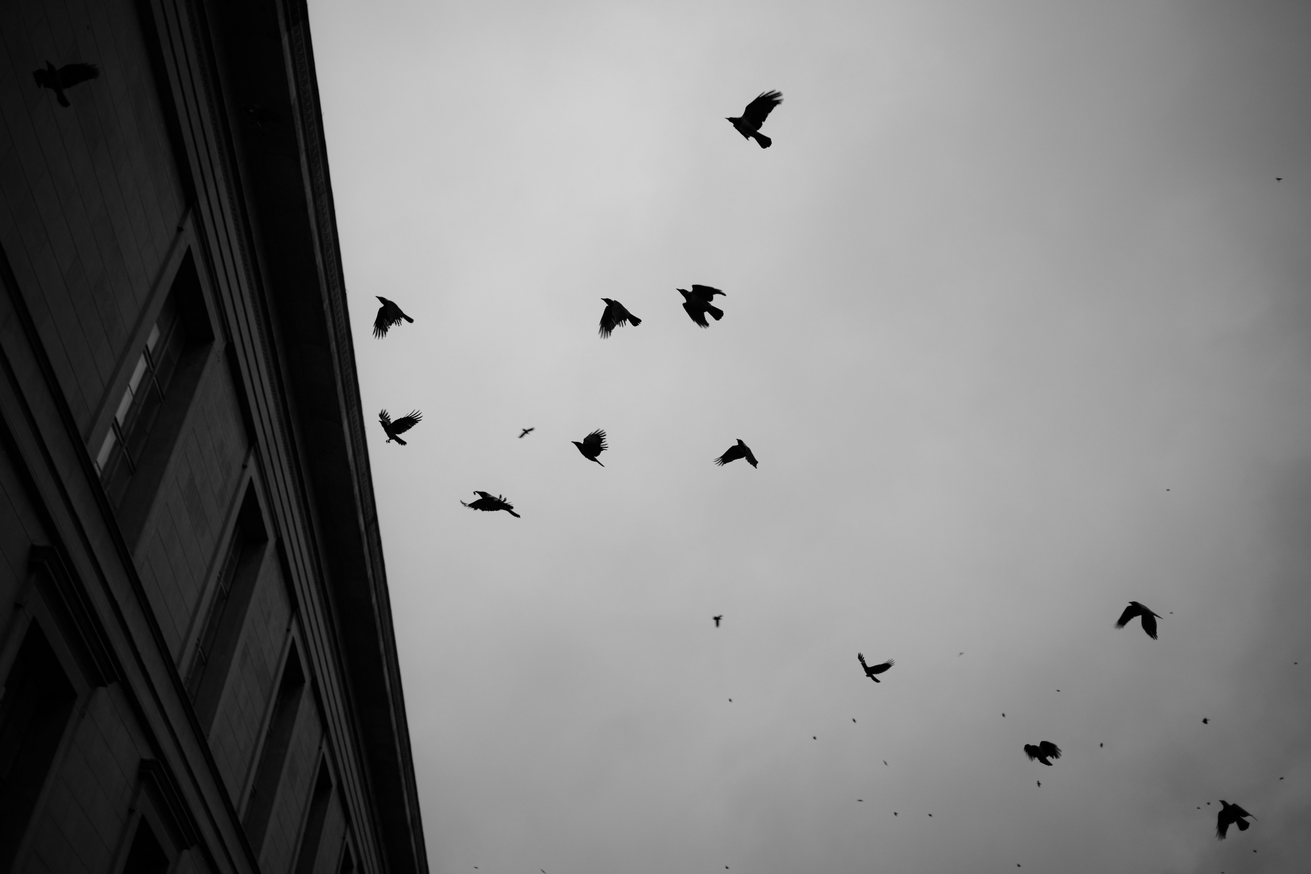 Rotloch — Photography & Videography | Berlin