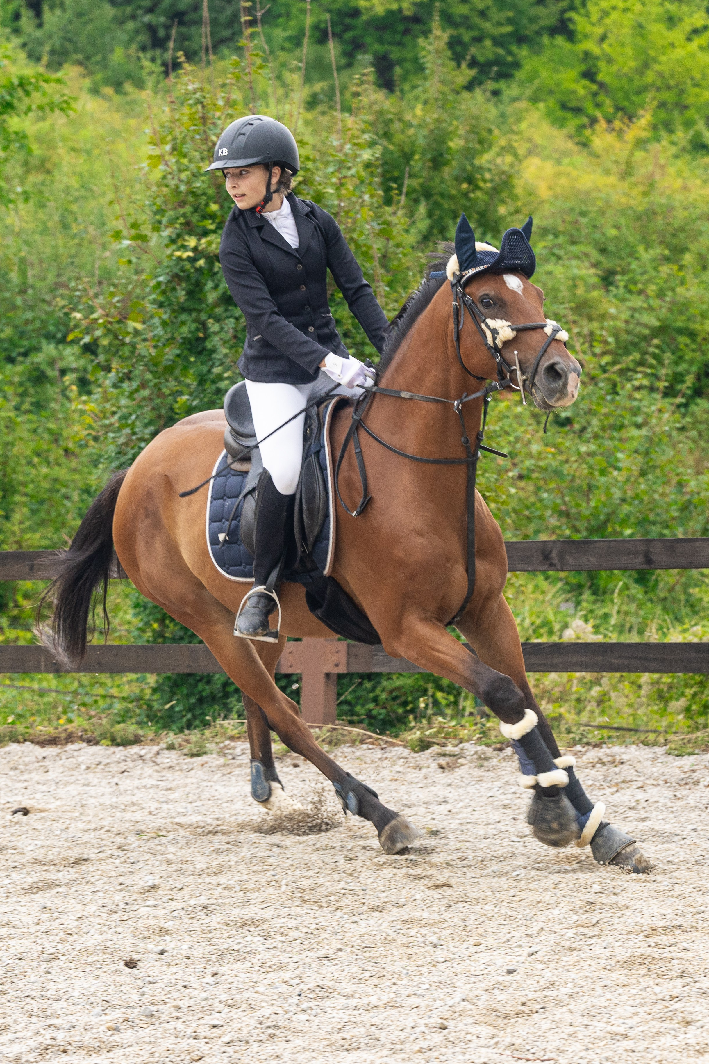 Preponsko takmičenje konja u Sarajevu, 16. august 2025 – dinamičan skok konja i jahača u umjetničkom prikazu snage i elegancije.