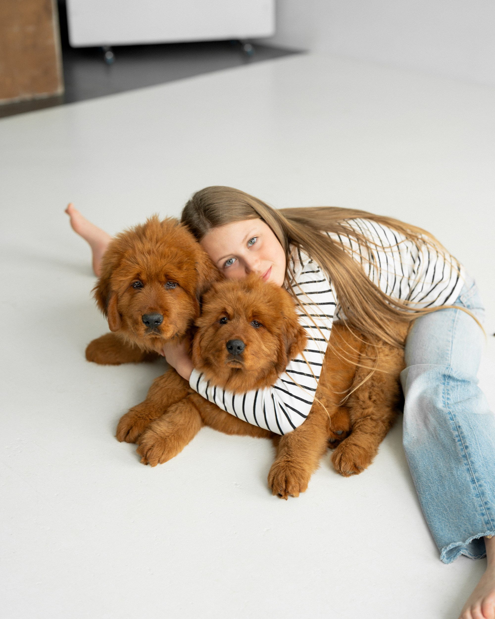 Žaneta, Urtė ir tibeto mastifų veislyno šuniukai. Vita Klimaševska ○ Fluffy Soulmate Photography
