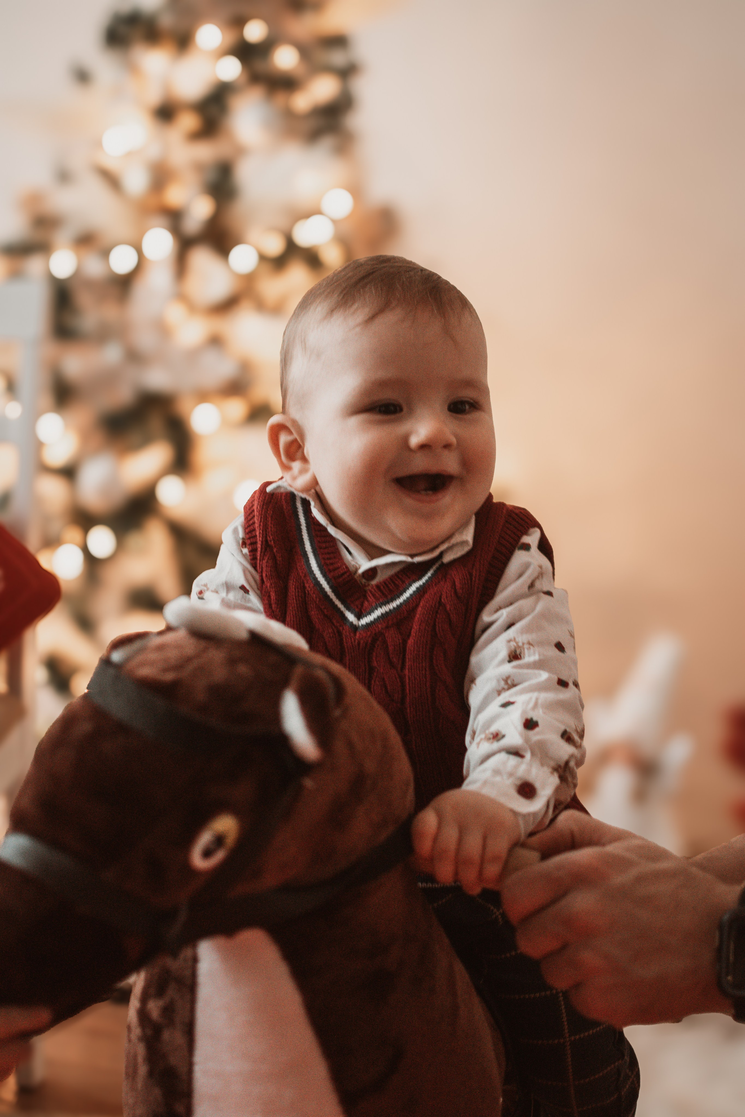 Nevena & Aleksandar, Porodično fotografisanje. BambinaaPhotography