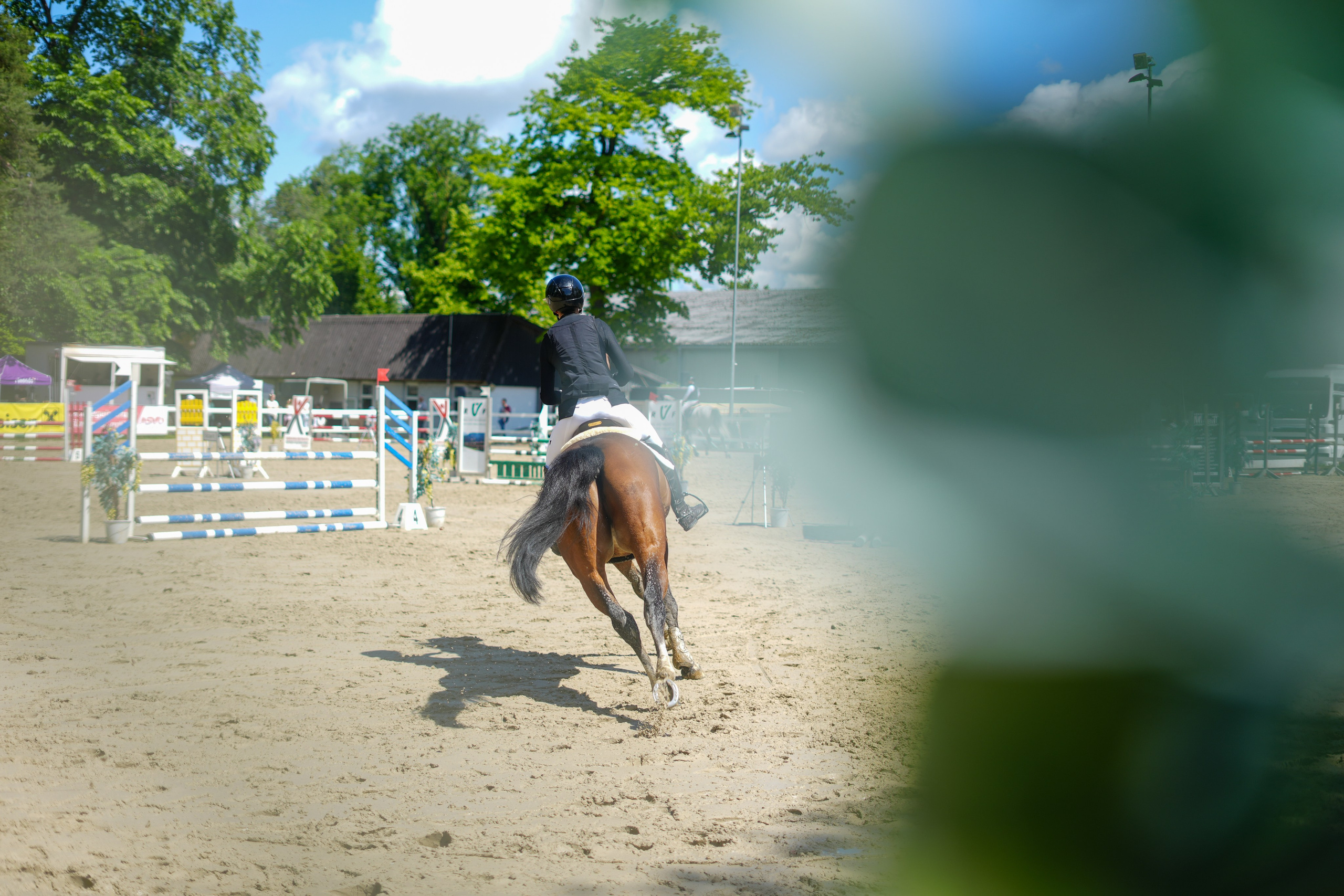 Equestrian Competition