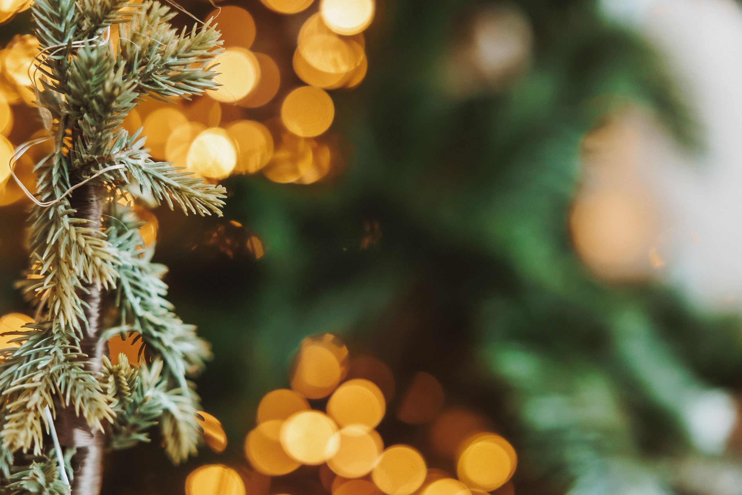 Декор 2023-24. Фотограф Ирина Йотова