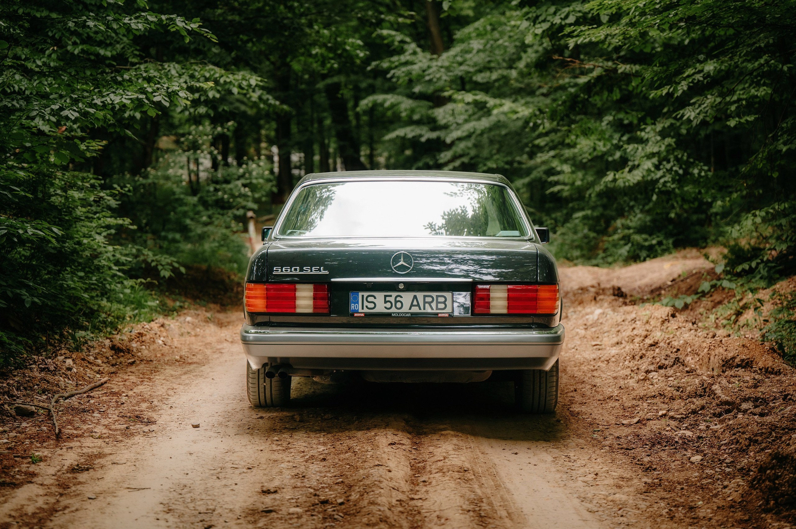 NUNTA Tudor si Stefana. Laurentiu Stefan StoryTeller