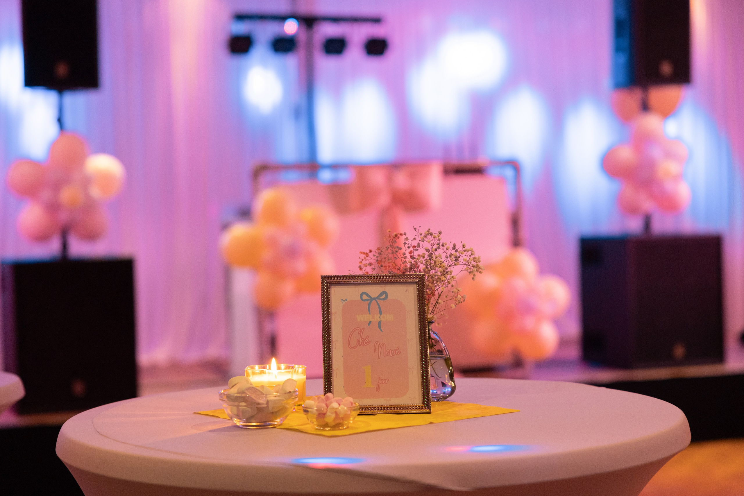 1 st Birthday. Portrait and Family Photographer in Netherlands