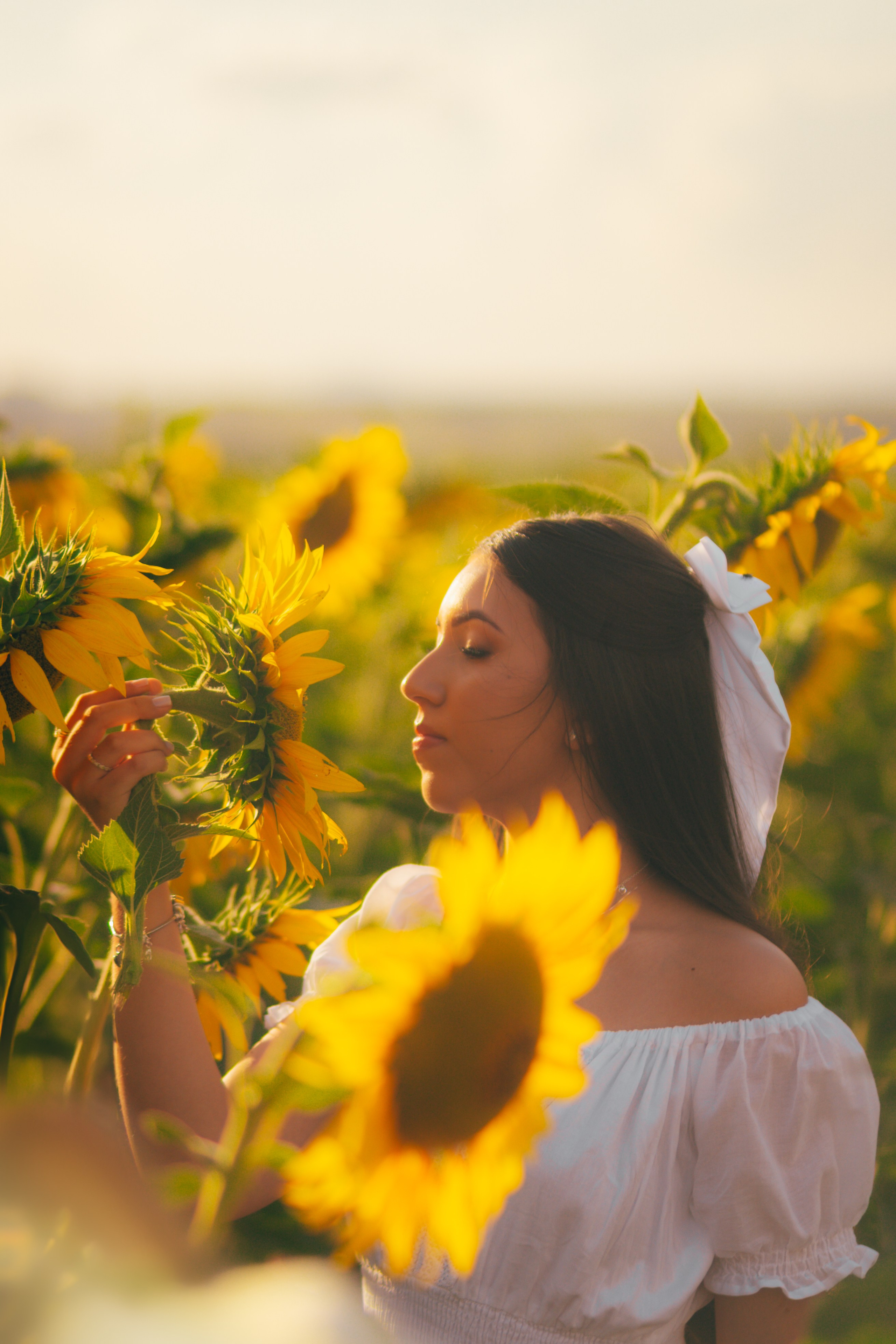 Debutante. Reference Visuals