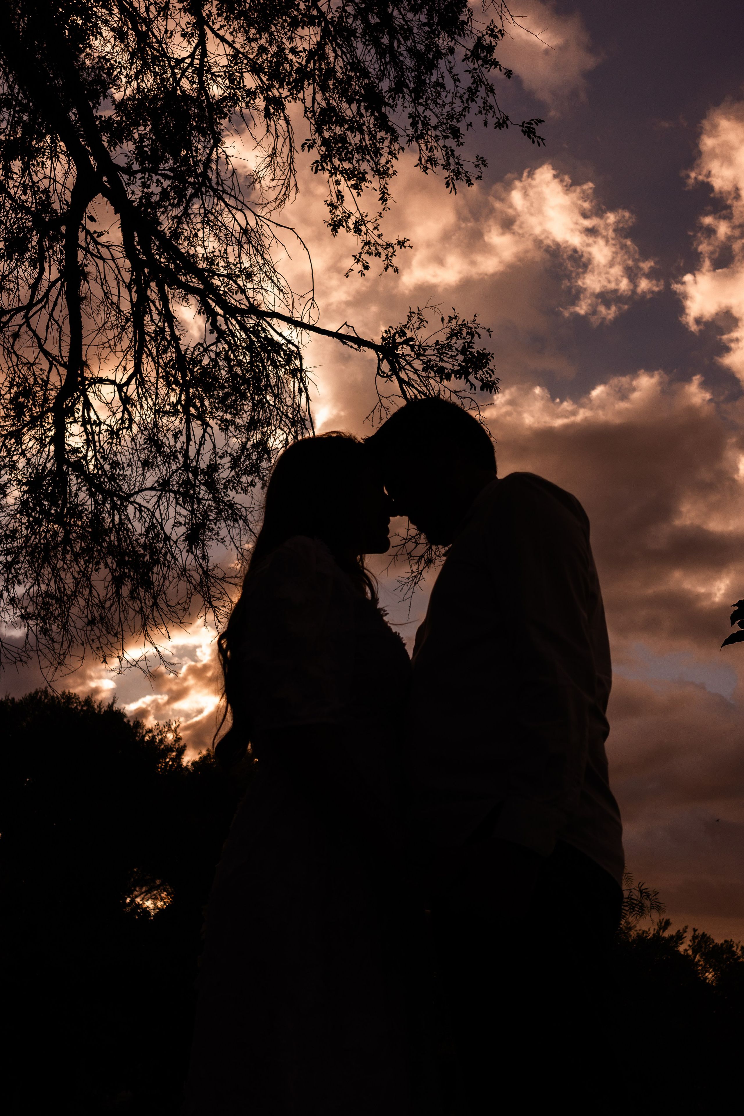 Chá Revelação Tania