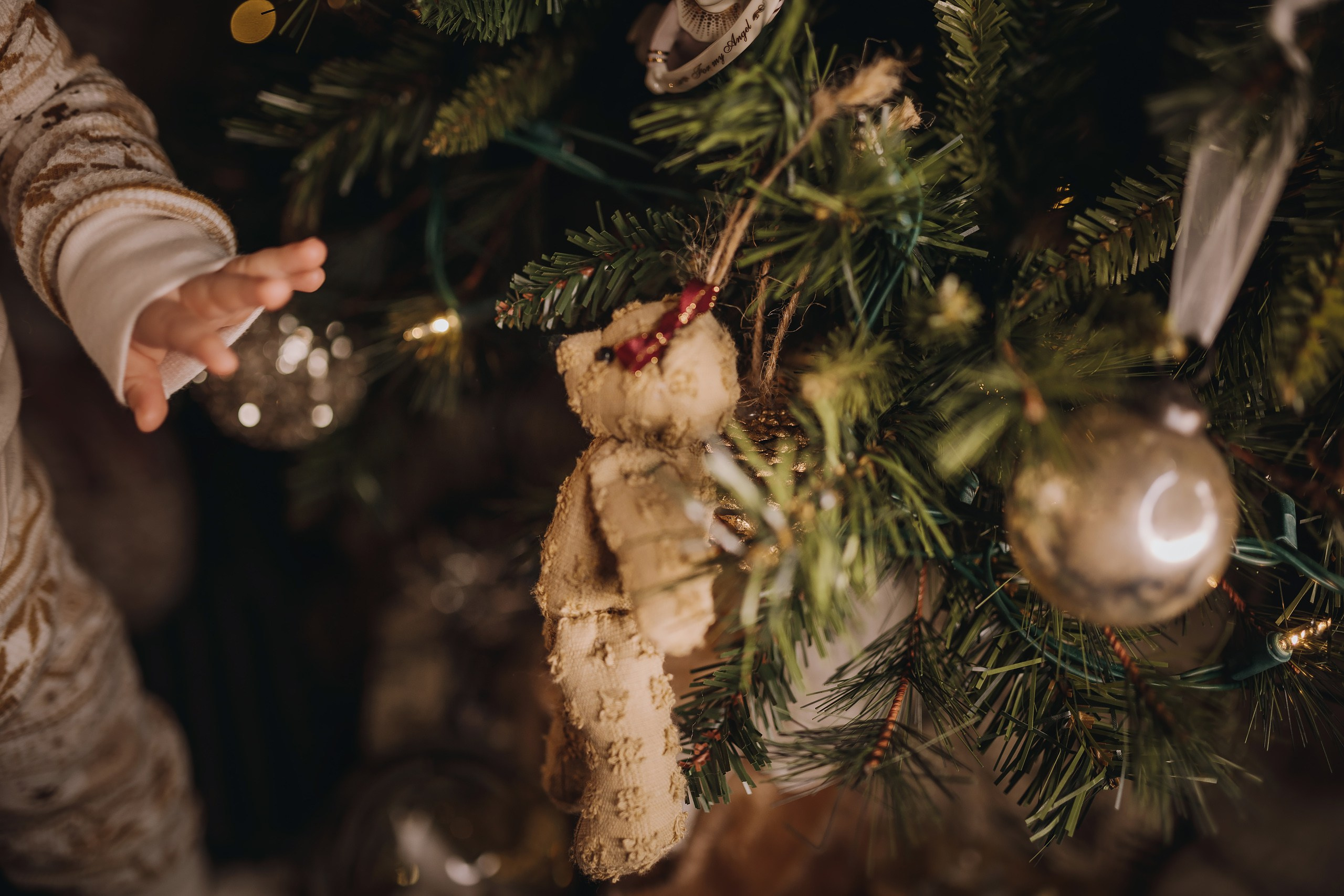 09.12.2023 Christmas Photoshoot. Wedding family event photographer in Chicago Nick Yushevich