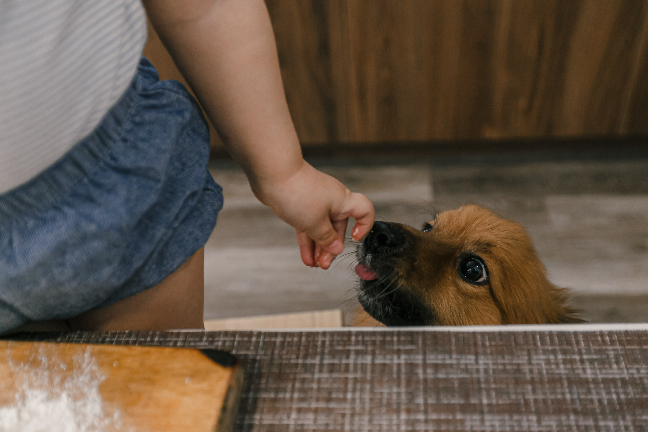 Mamá, papá e hija preparando juntos el desayuno en casa. Fotógrafo de retrato, familia y reportajes en Valencia | España | Europa Vitalii Lumier