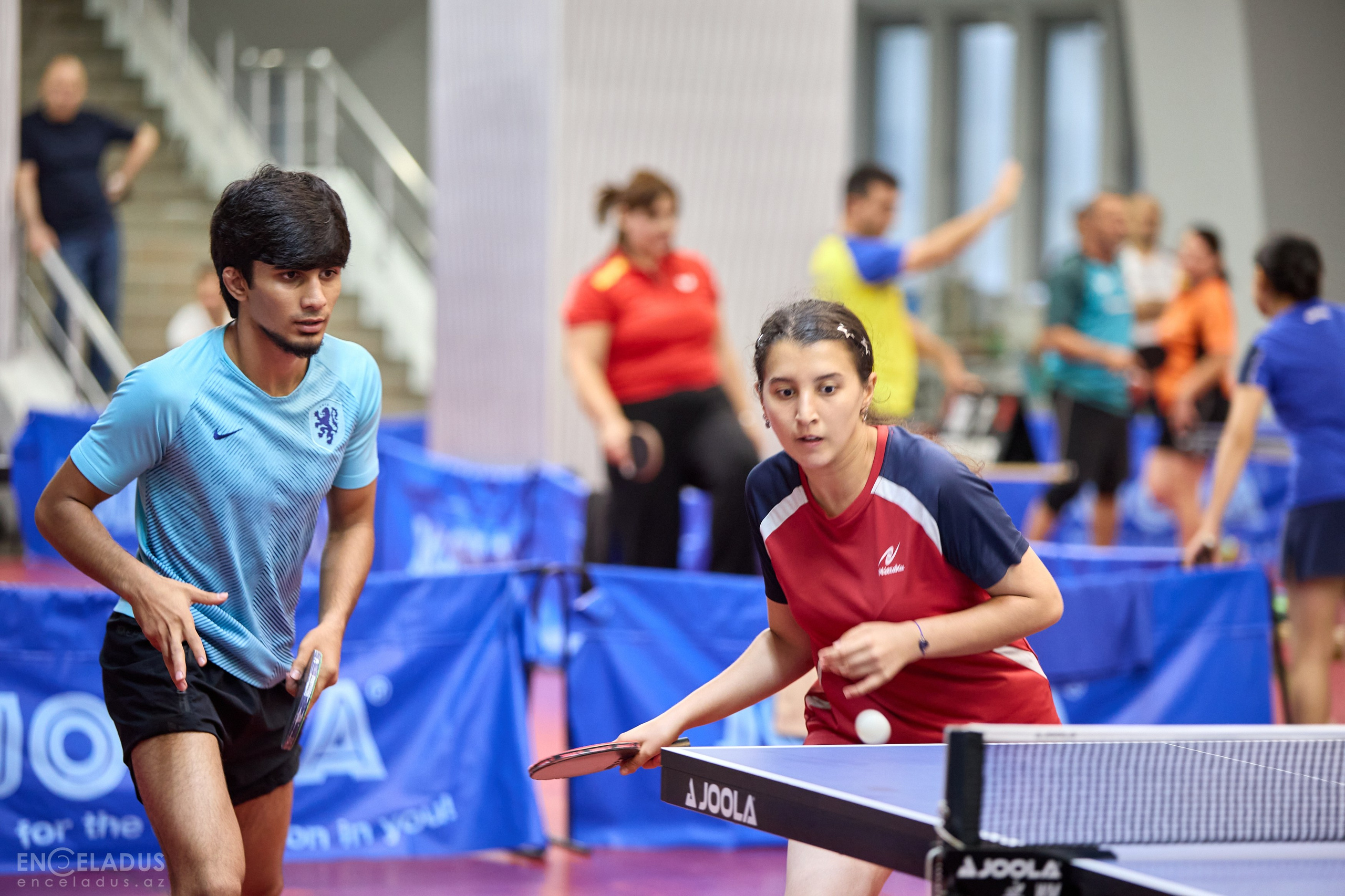 Table Tennis. Mix Tournament. Фотограф в Баку Kamran Enceladus