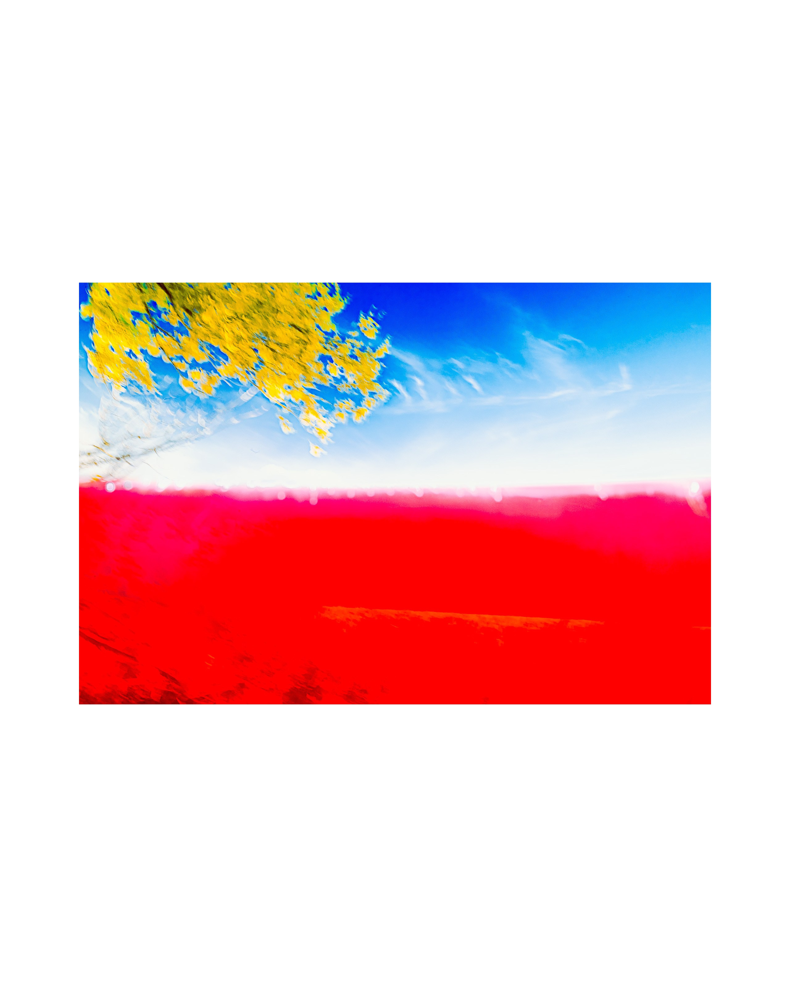 Nature from Exaggerated Worlds. Ekaterina Tsurkina-Appina Photography Canada