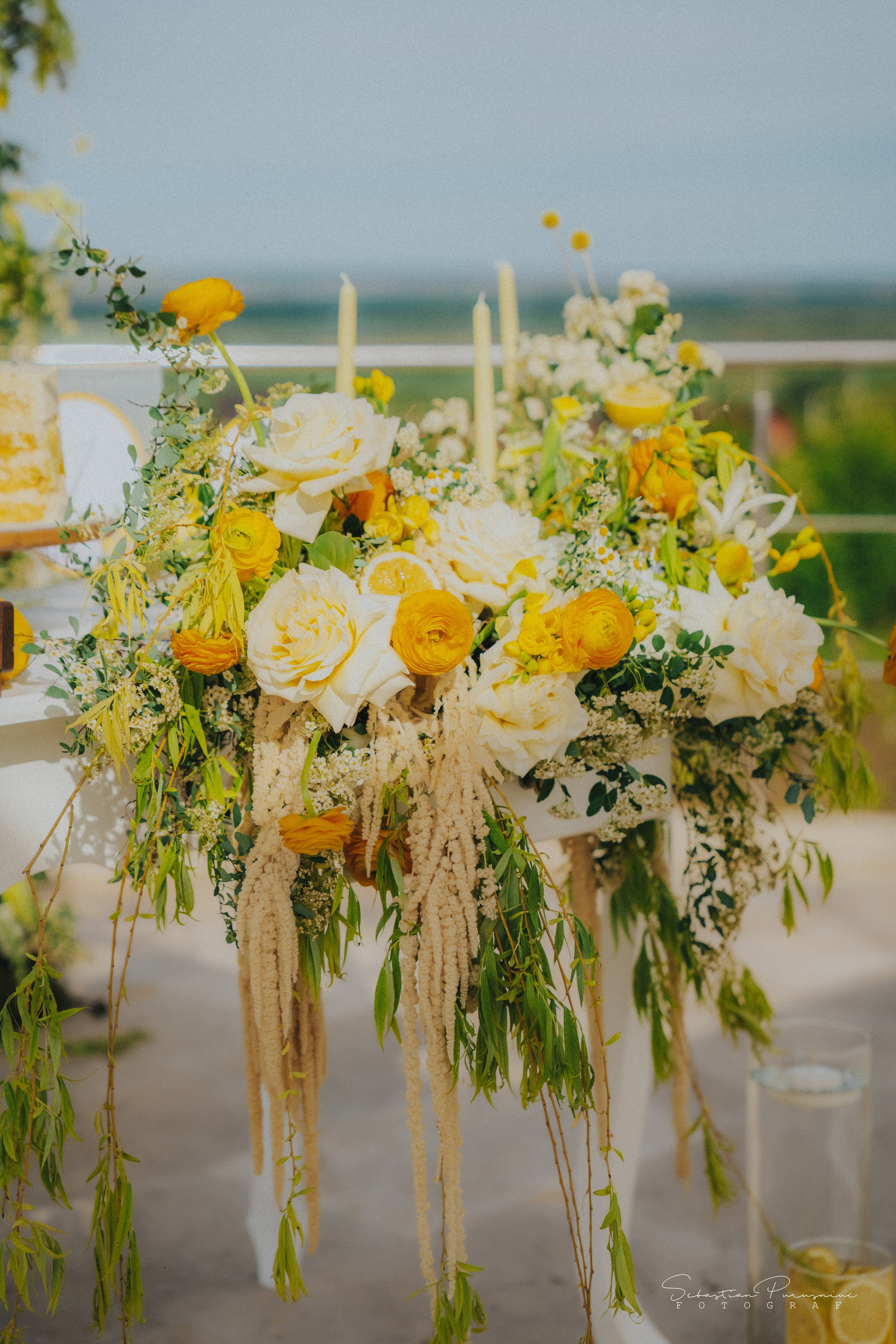 Love & Lemons. Sebastian Purusniuc Fotograf - Iasi