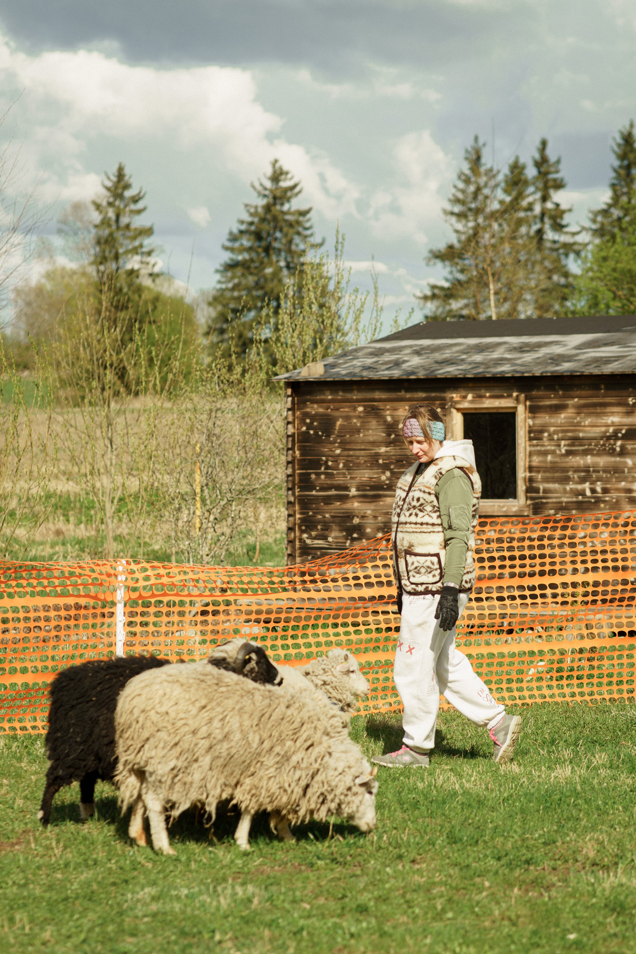 Herding Days, 26 apr. 2025. Kat Laisaar — Pet photographer in Tallinn