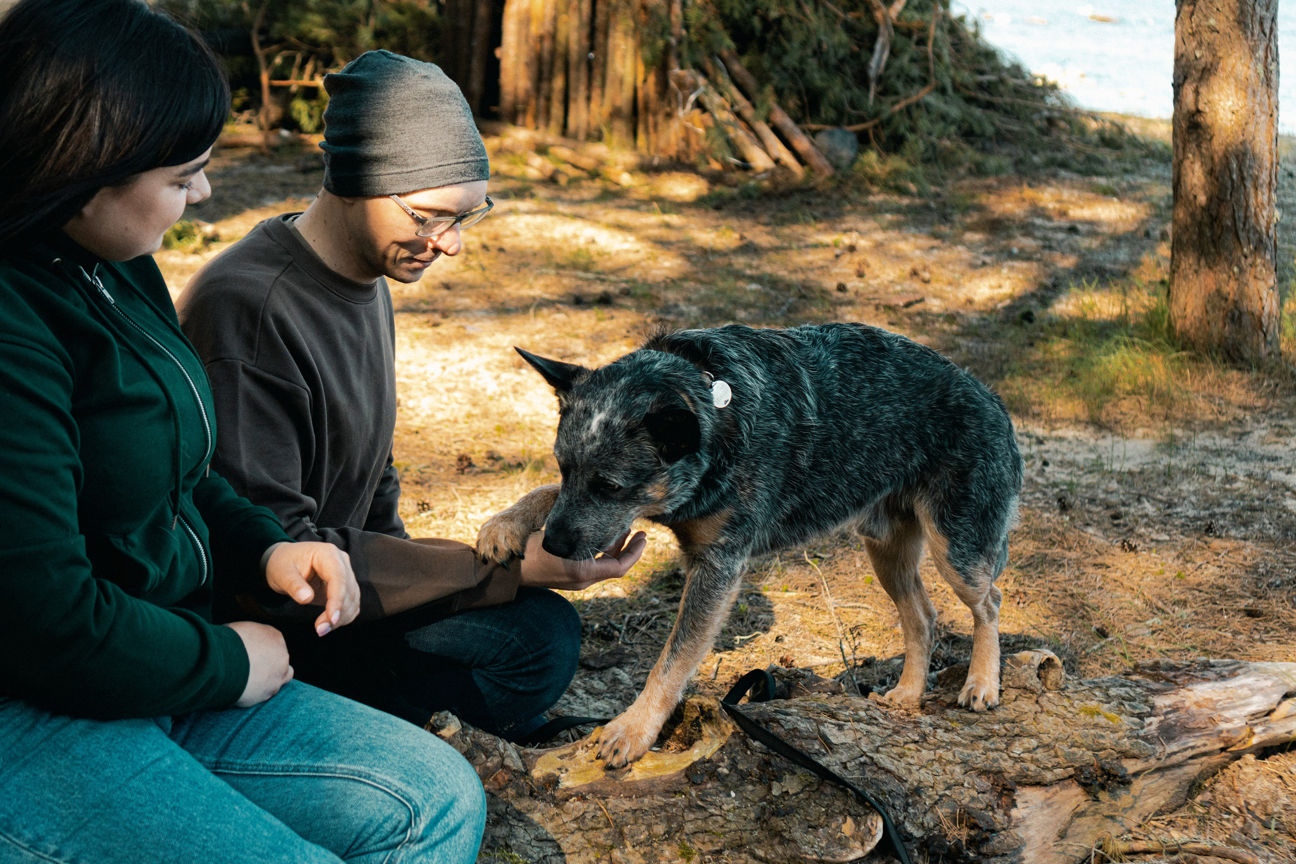 Oskar, Maria & Dmitrii. Kat Laisaar — Pet photographer in Tallinn