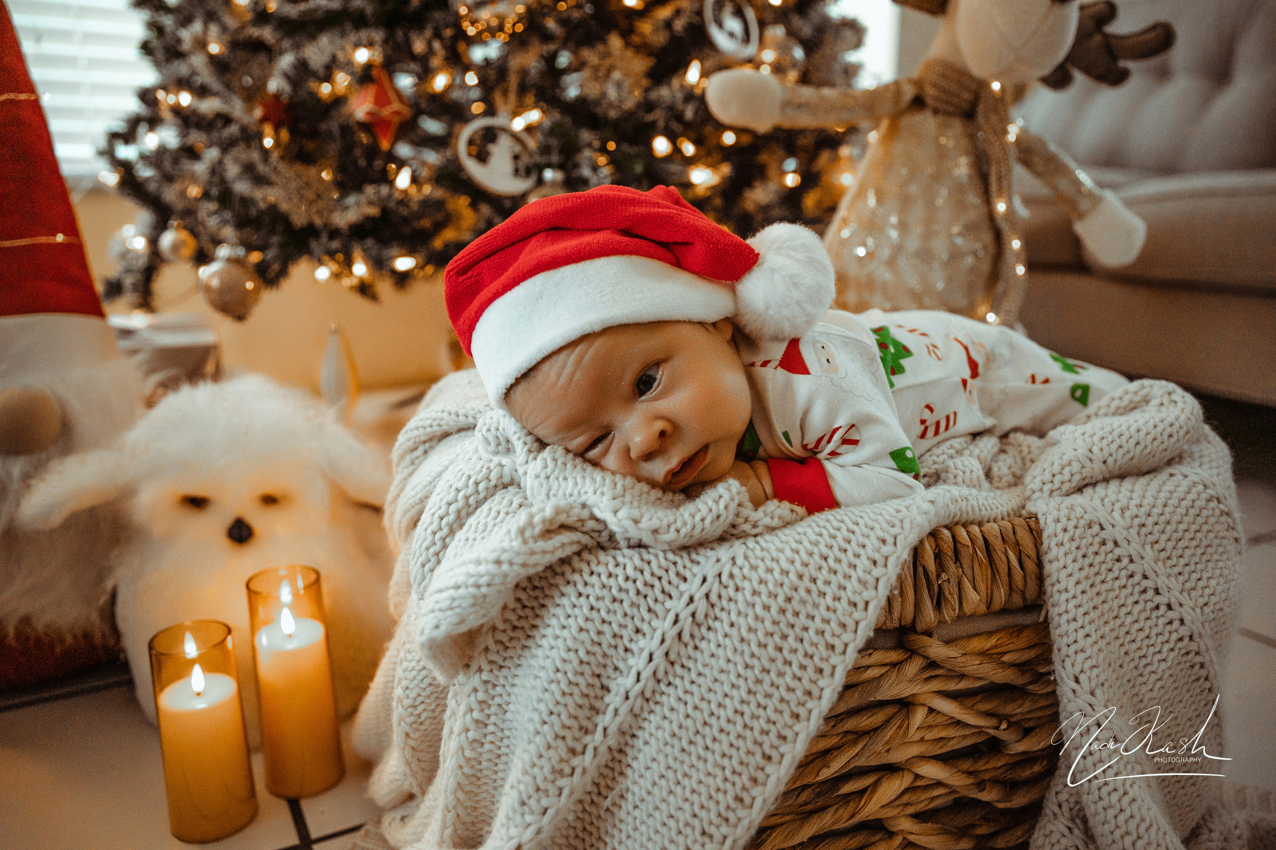 Holidays. Photographer in Miami, Family photographer, Event, Wedding