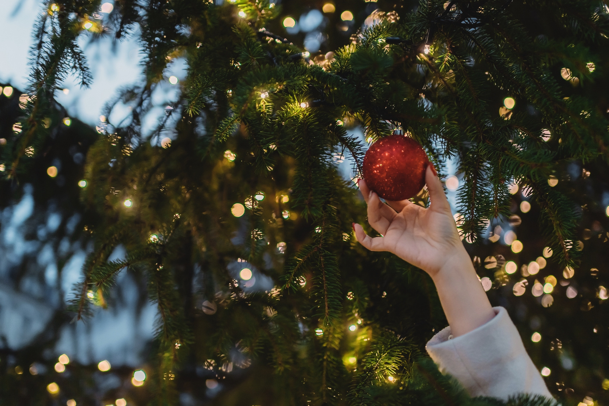 XINSE + XUHAI FAIRYTALE ENGAGEMENT | ZÜRICH AND RAPPERSWIL-JONA, SWITZERLAND. HOME