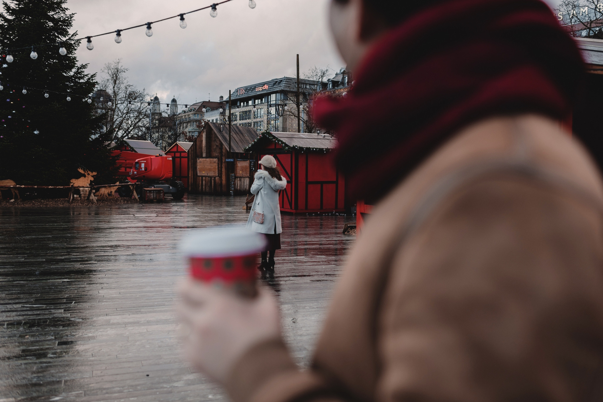 XINSE + XUHAI FAIRYTALE ENGAGEMENT | ZÜRICH AND RAPPERSWIL-JONA, SWITZERLAND. HOME