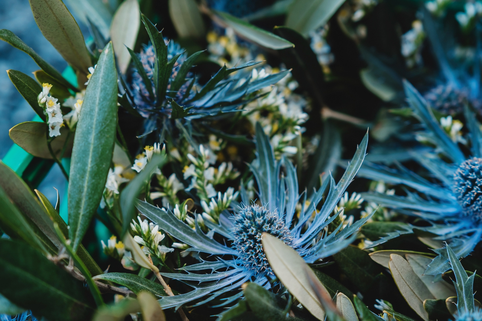 KIM + KARA | WEDDING RAPPERSWIL-JONA | ENEA BAUMMUSEUM. HOME