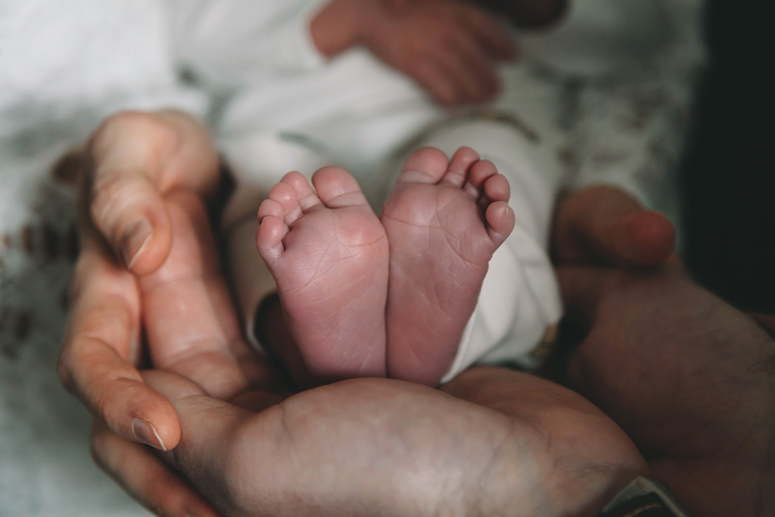 Familie. Hochzeit Fotograf Lyubov Sun