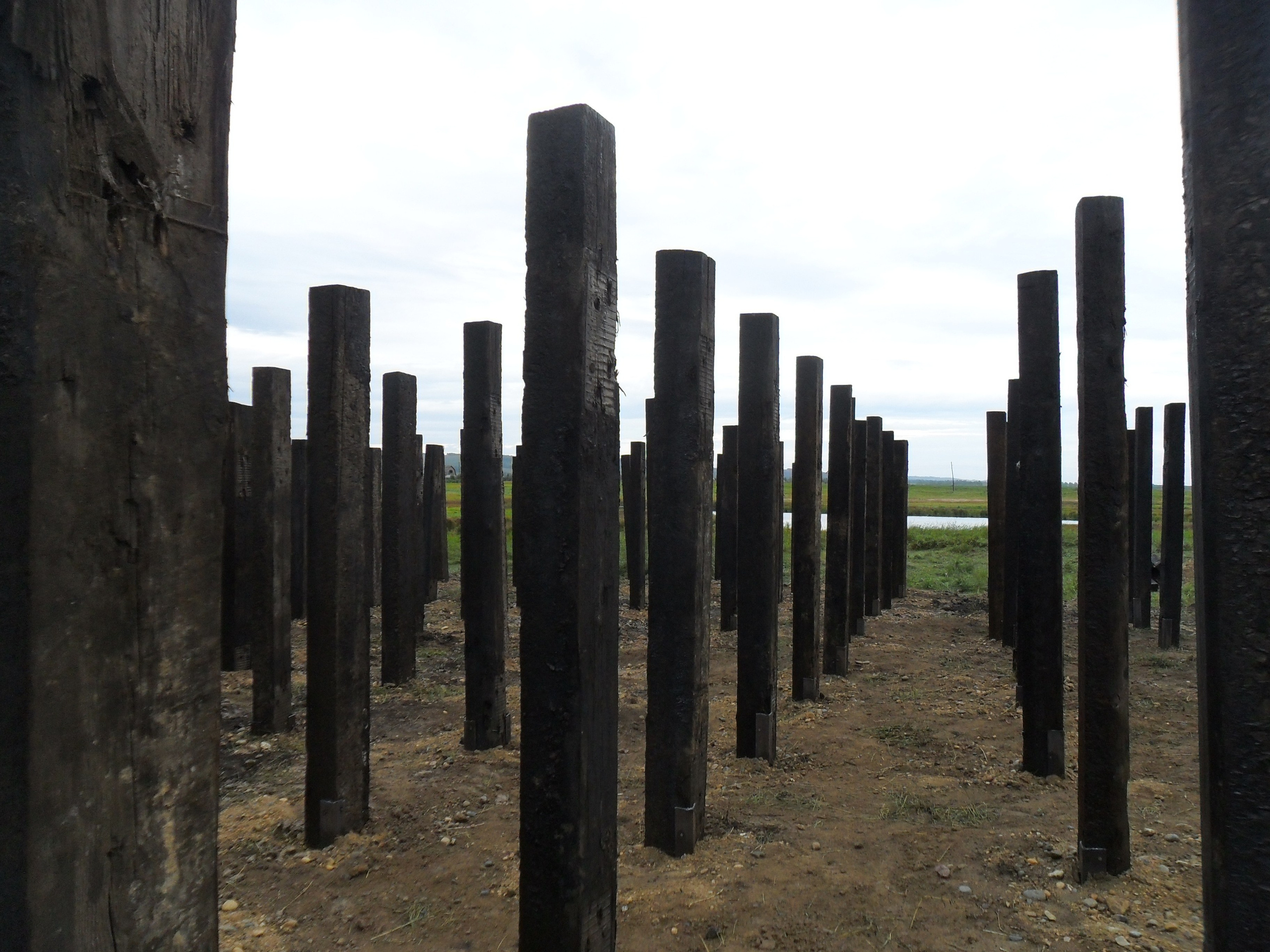 Garden, 2011. Haim Sokol’s artists website