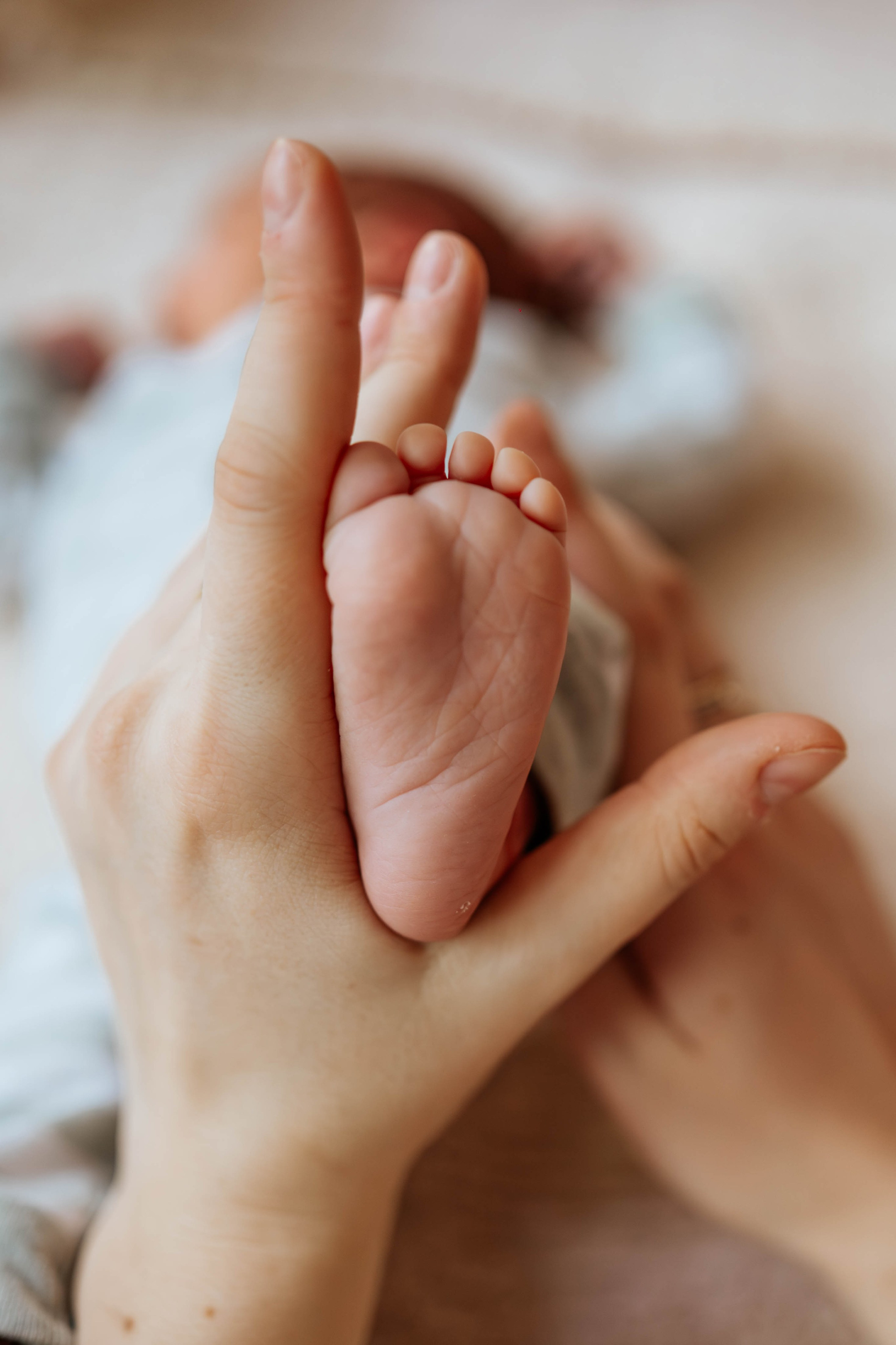 Bojan, Marija, Mihajlo, Viktor i Aleksa - porodično fotografisanje. Dečiji i porodični fotograf