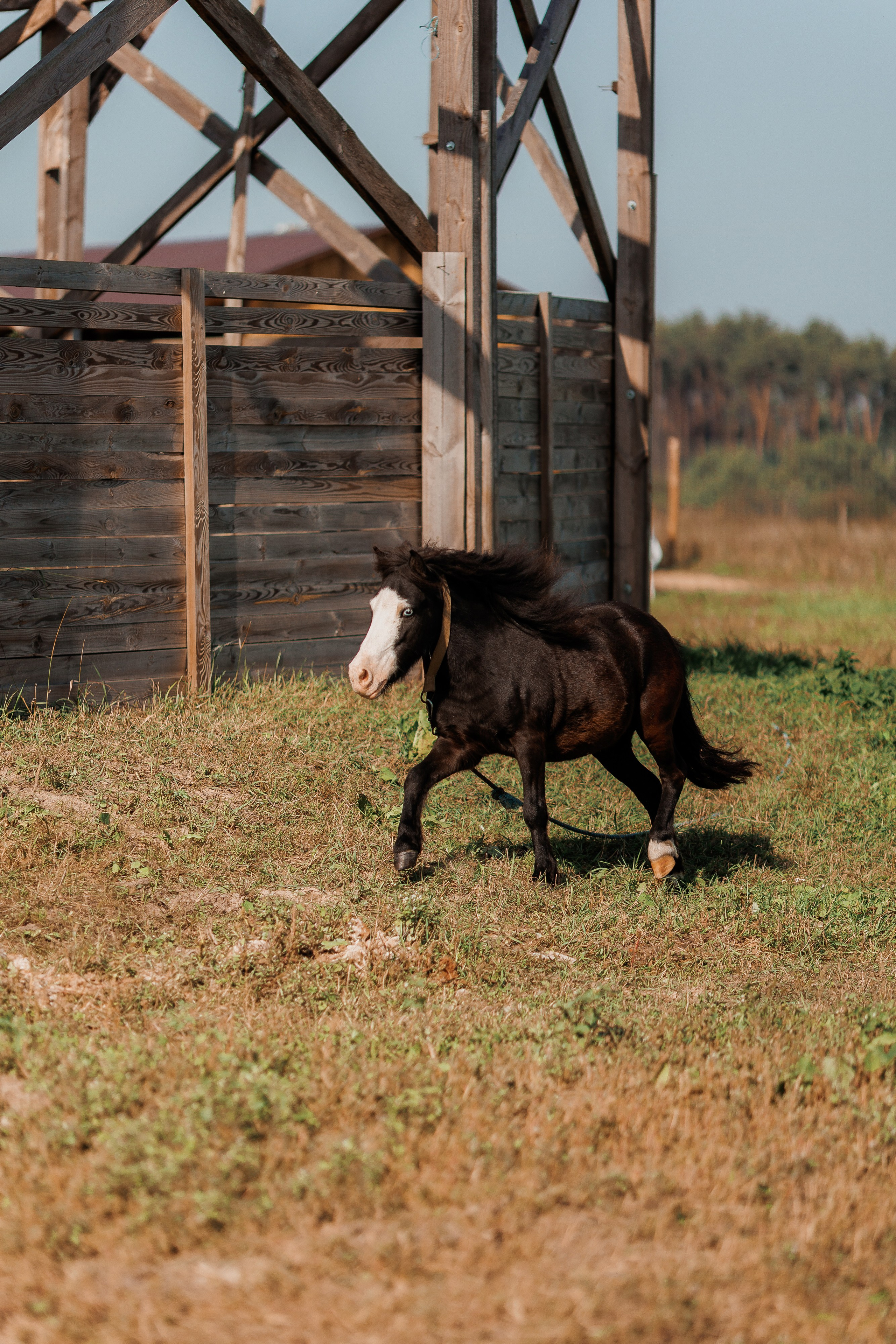 Екопарк Аміла. Ірина Терещук