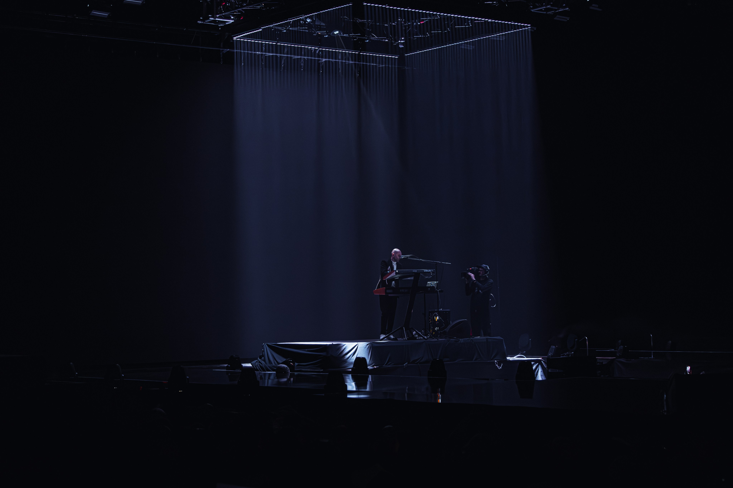 Antytila. Репортажний фотограф/анімаліст КИЇВ